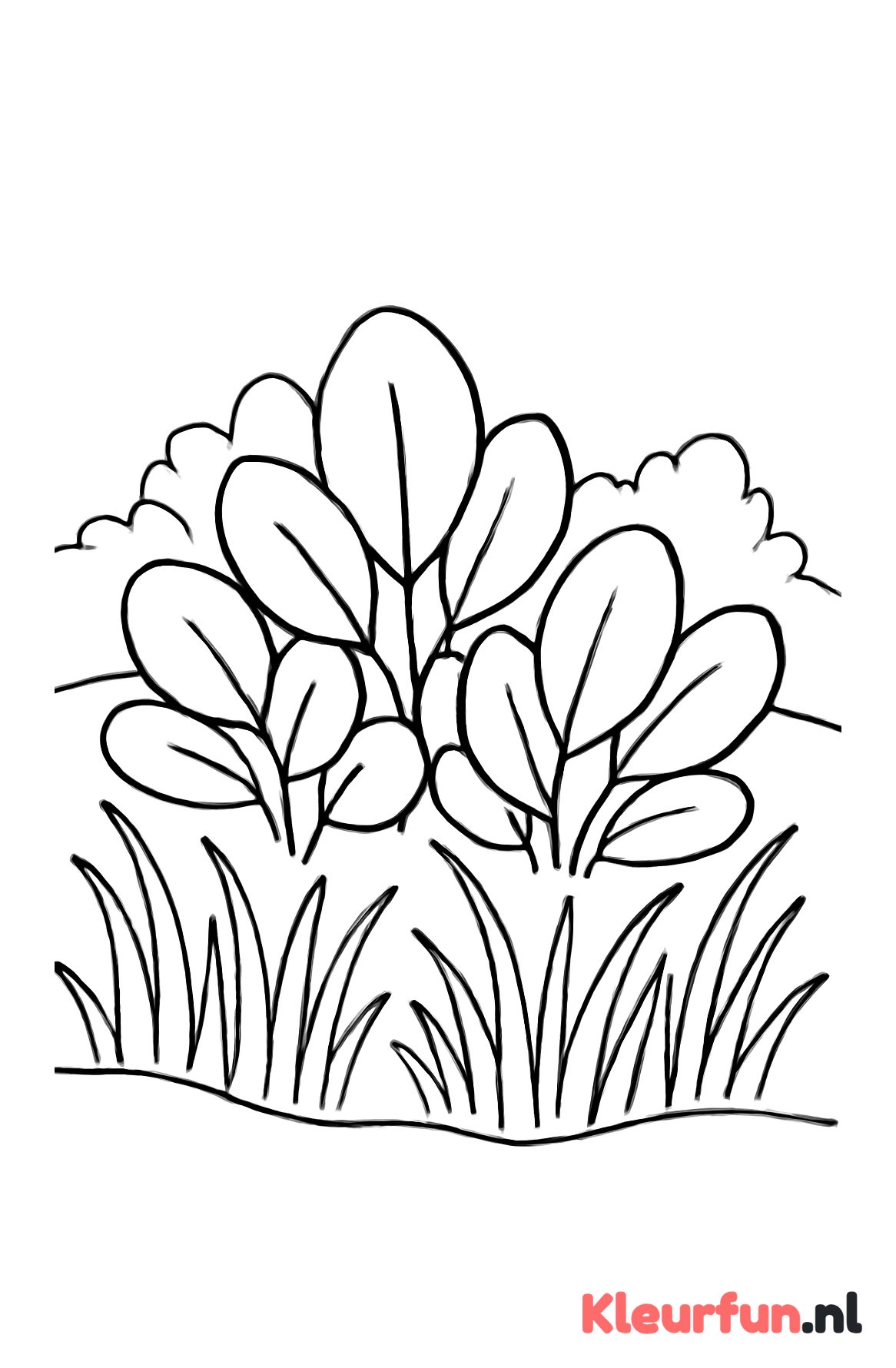 Eenvoudige struiken en gras
