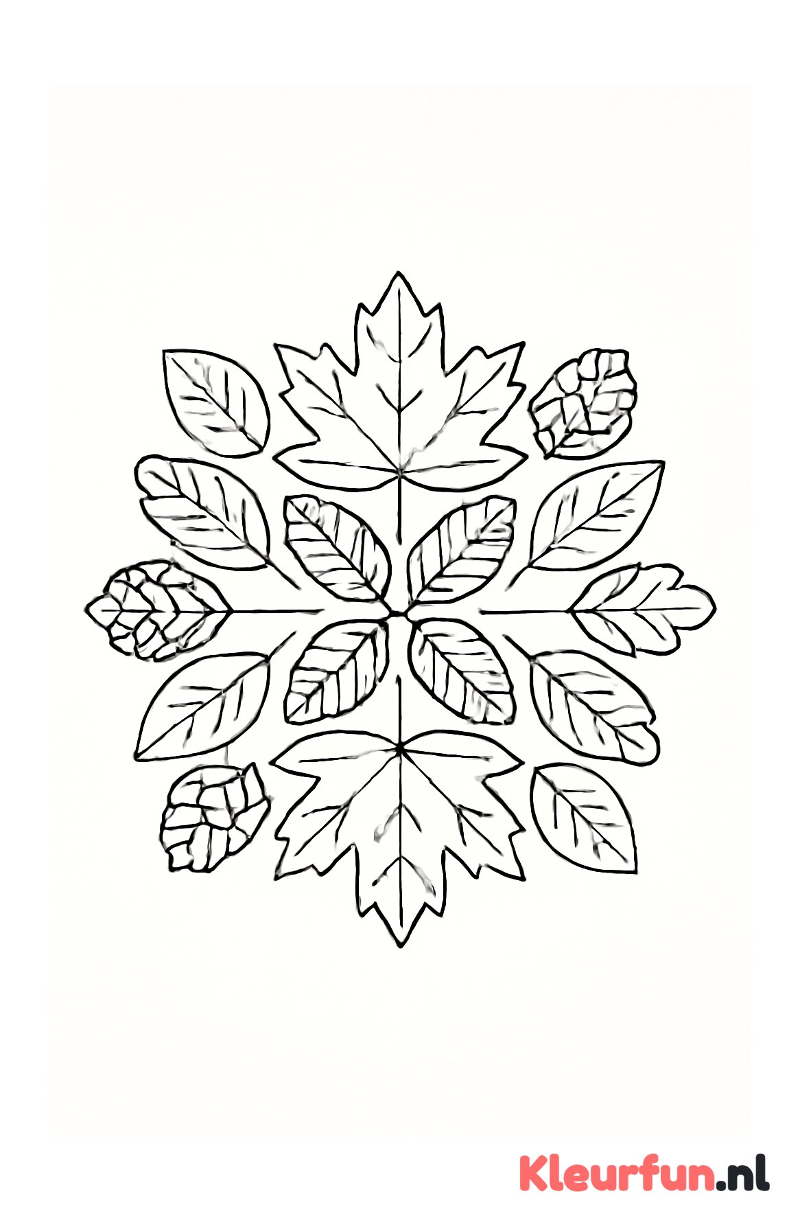 Symmetrische herfst mandala met bladeren en dennenappels