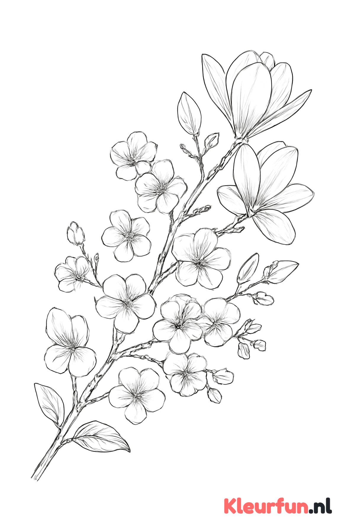 Tak met bloesem van voorjaarsbloemen