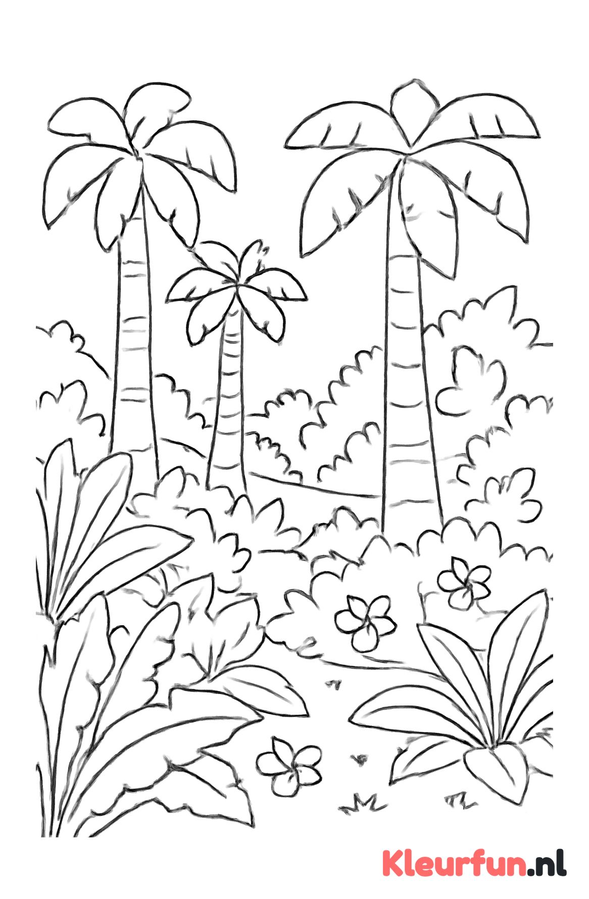 Jungle met torenhoge bomen