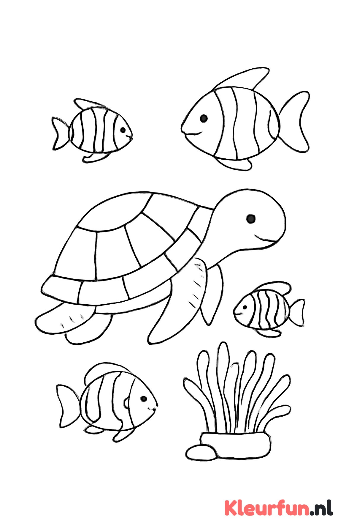 Tropische zeedieren overzichtelijk