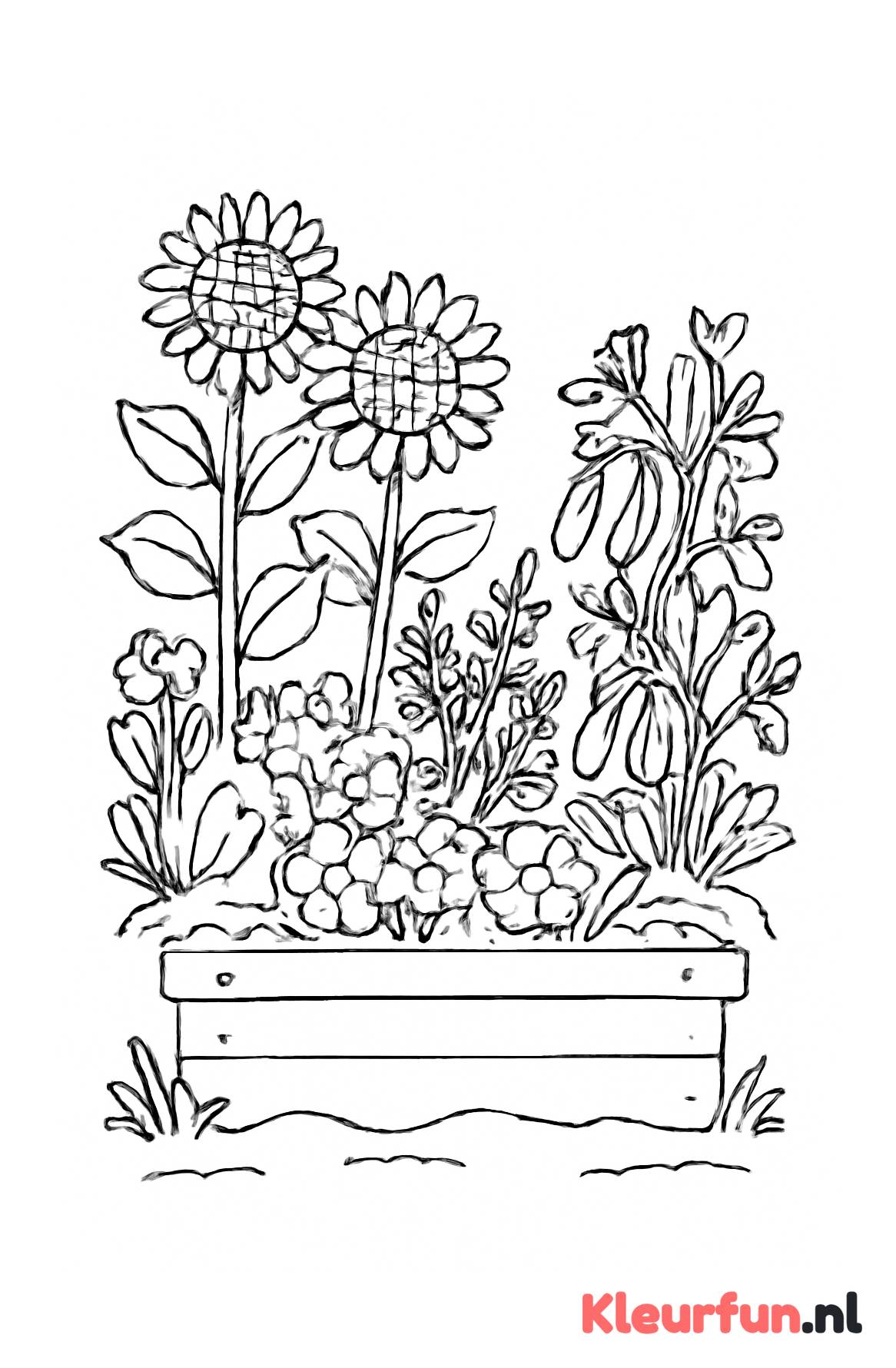 Tuin met bloemen en planten