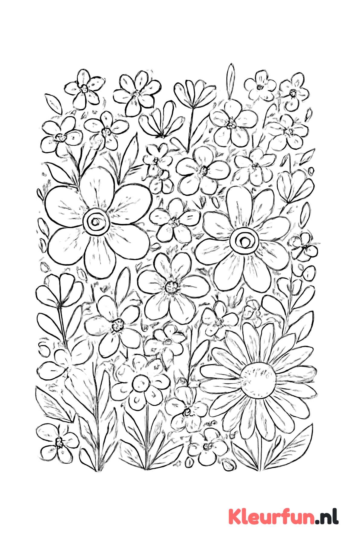 Tuin met diverse bloemetjes