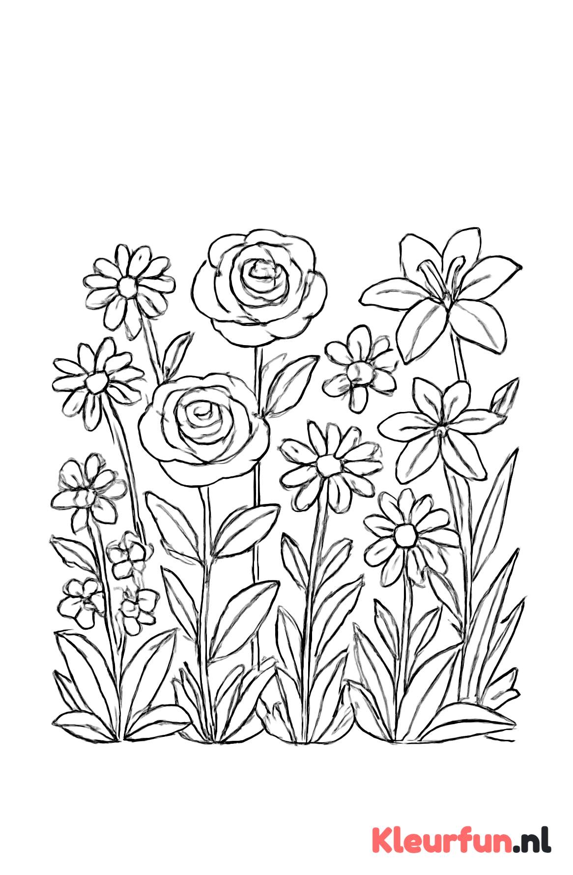 Tuin met diverse soorten bloemen