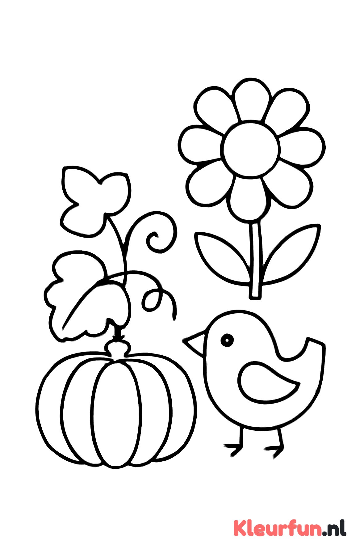 Tuin met pompoenplant en vogel