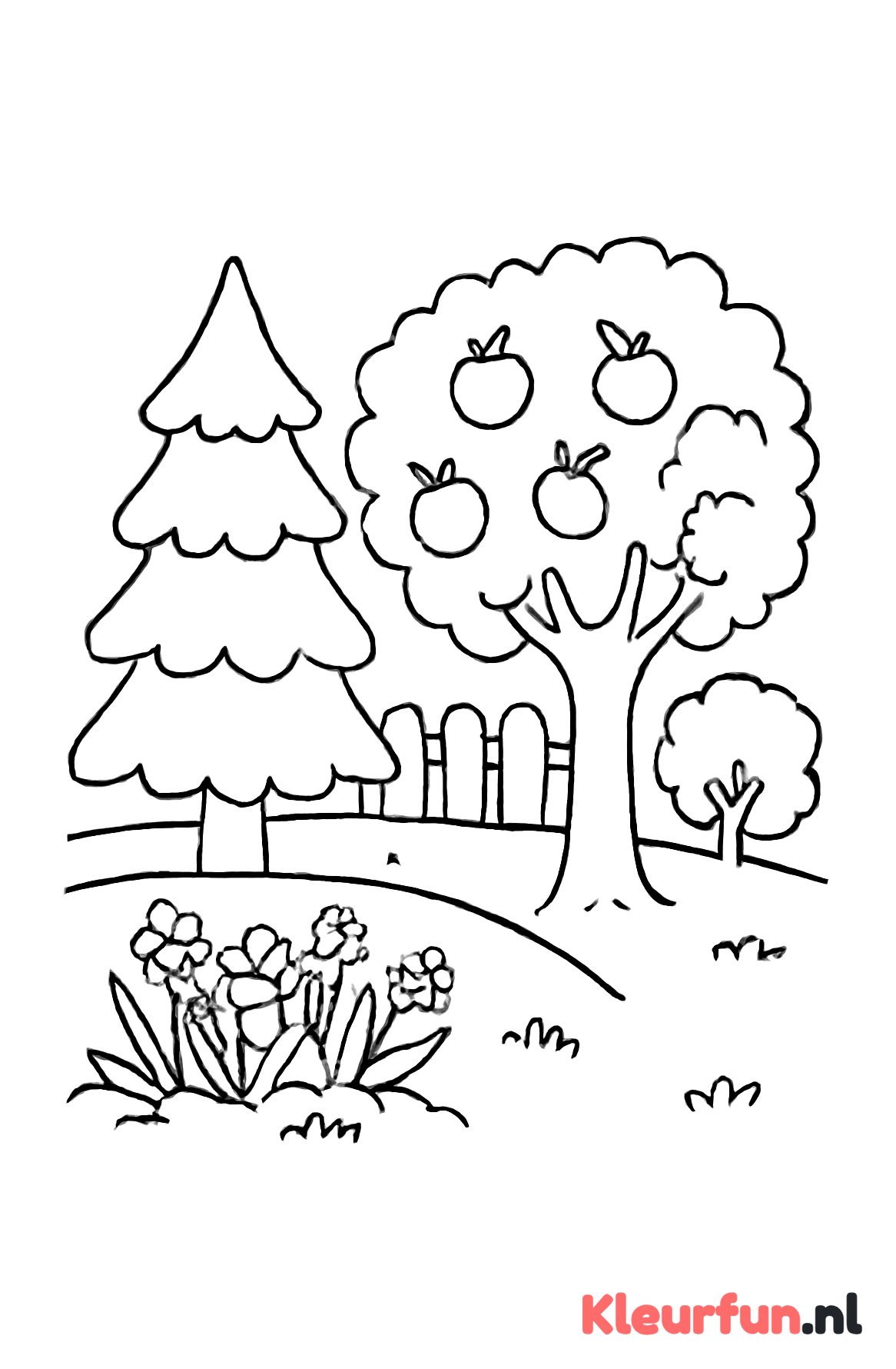 Tuin met Verscheidene Bomen en Planten