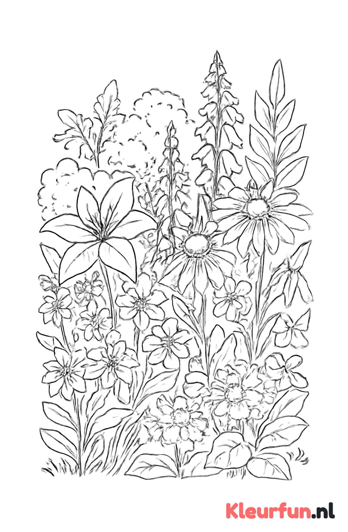 Tuin vol bloemen