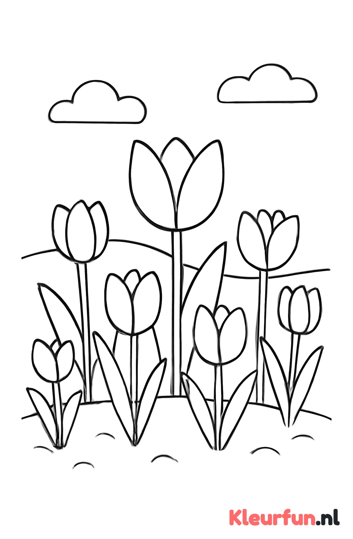 Tuin vol tulpen
