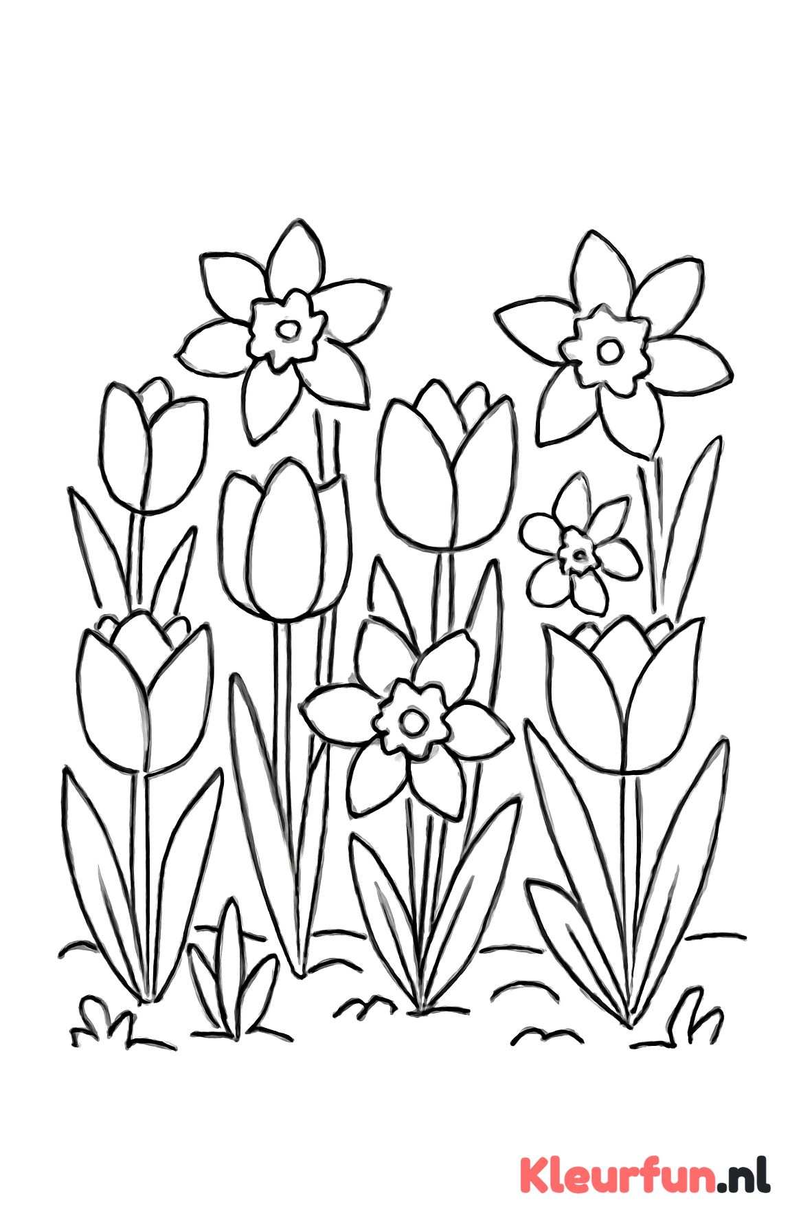 Tuin met Voorjaarsbloemen