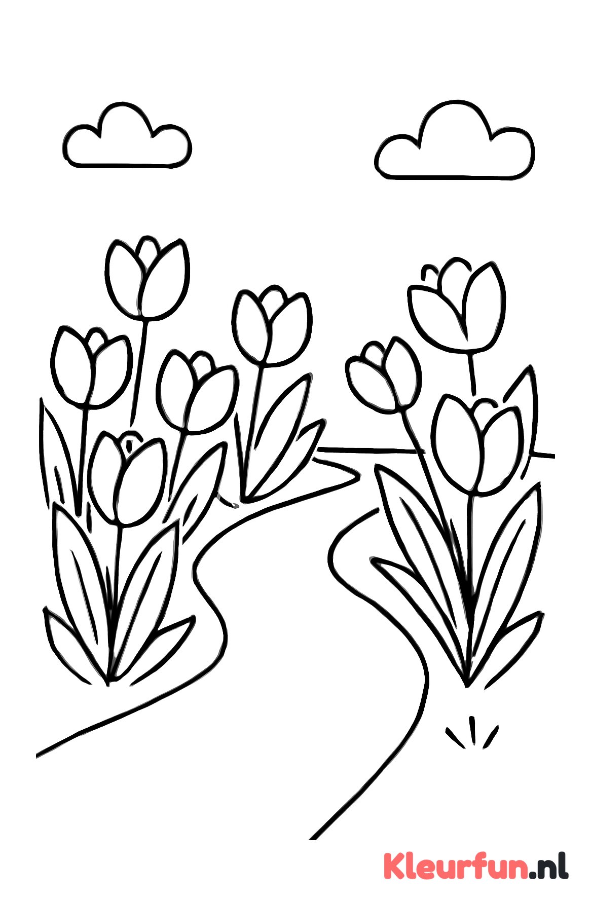 Tulpen langs wandelpad in het voorjaar