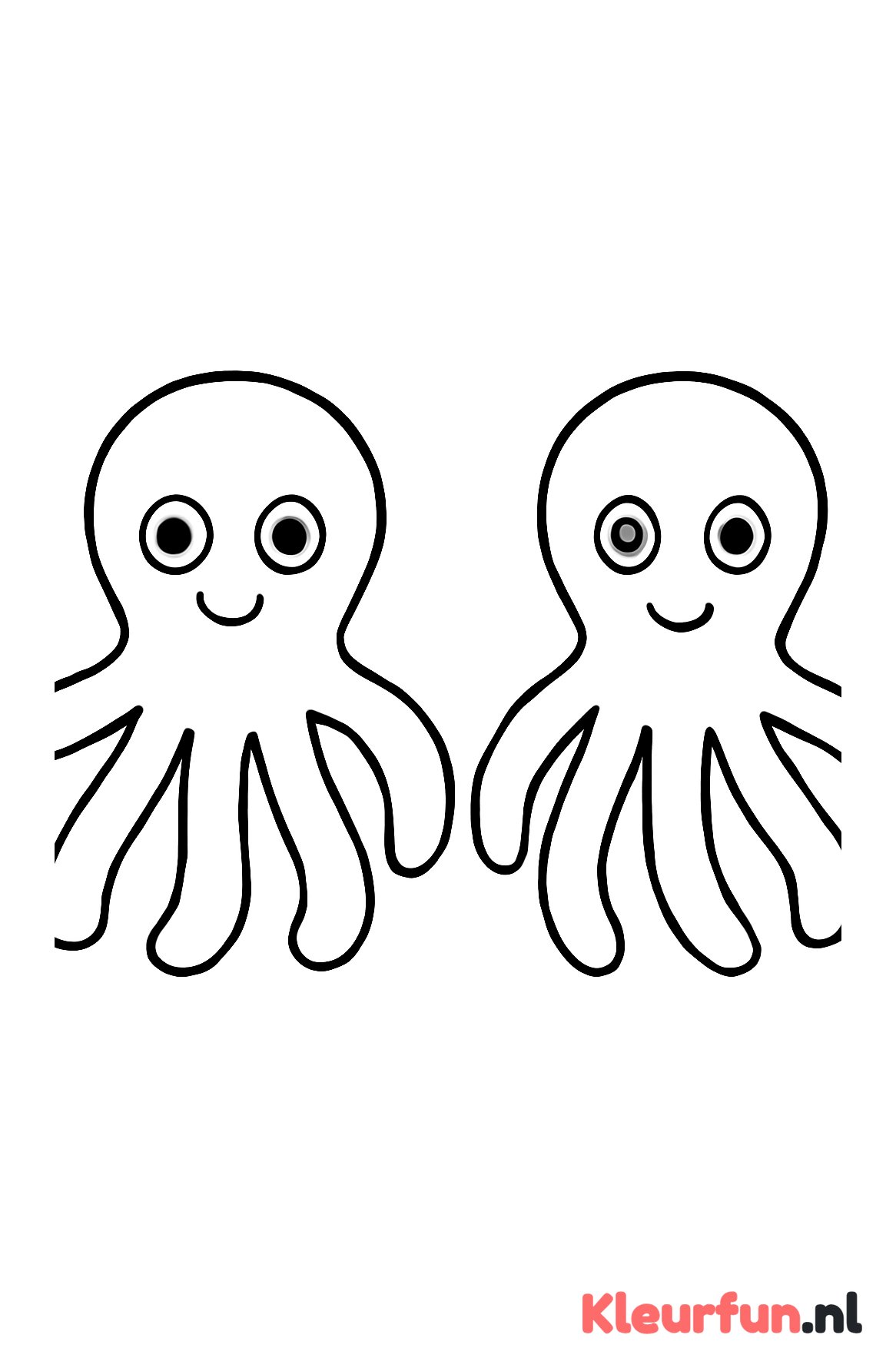 Twee eenvoudige octopussen