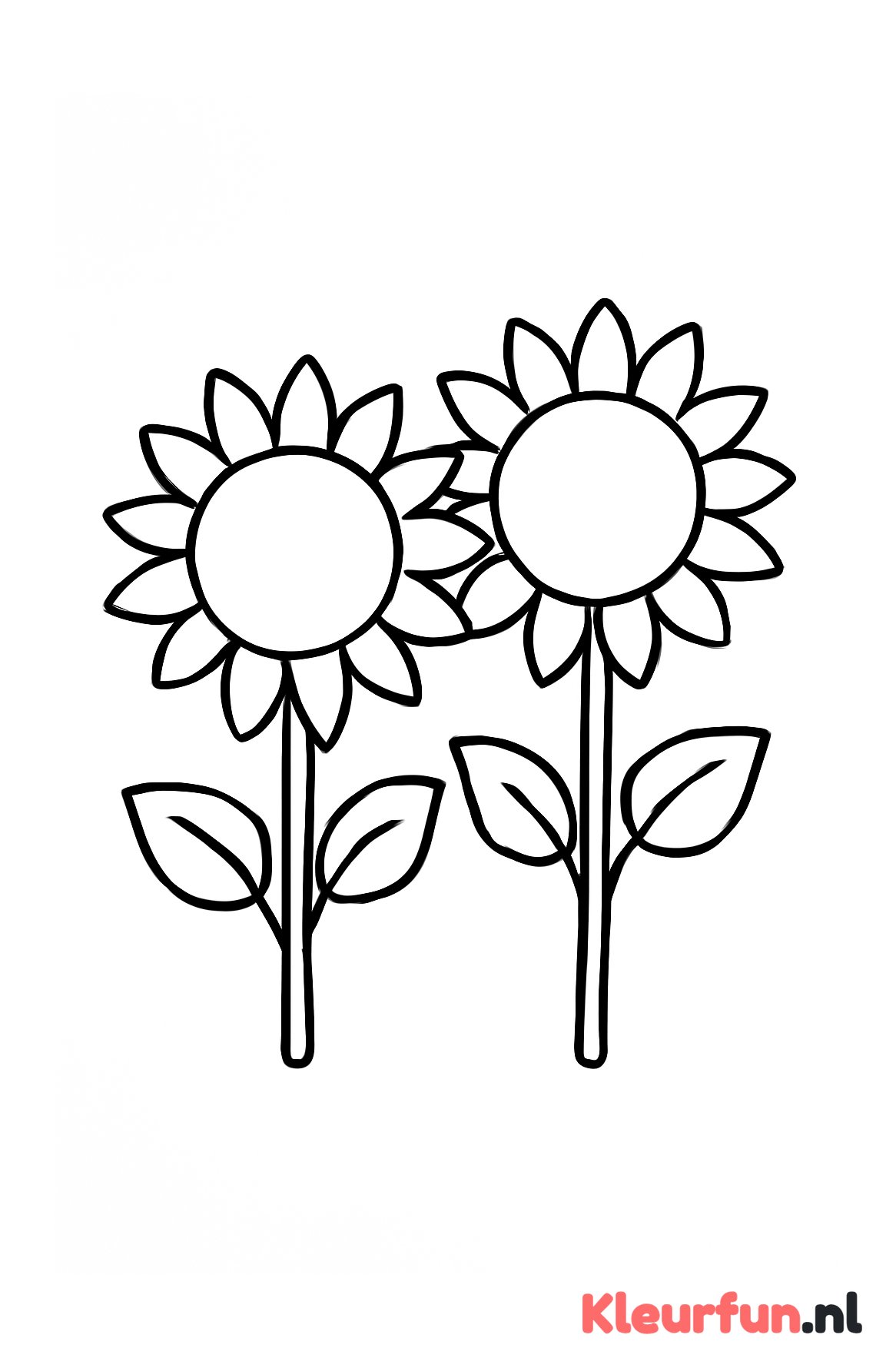Twee grote zonnebloemen