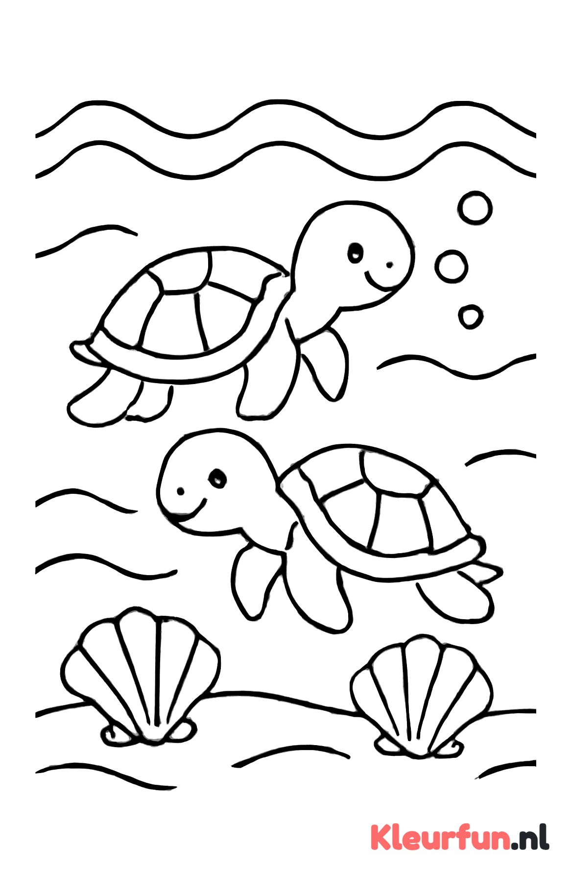 Twee schildpadden en golven