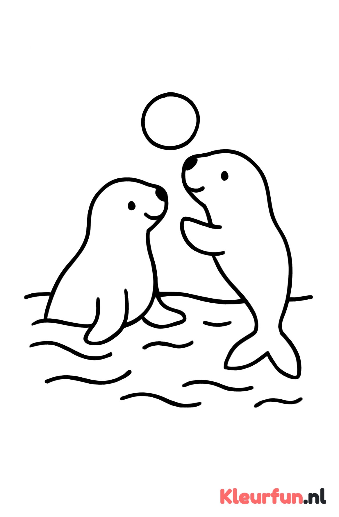 Twee speelse zeehonden