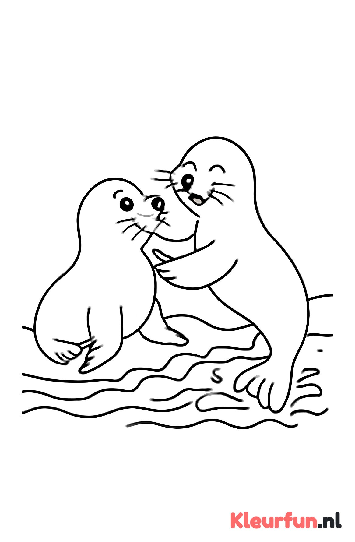 Twee zeehonden die spelen