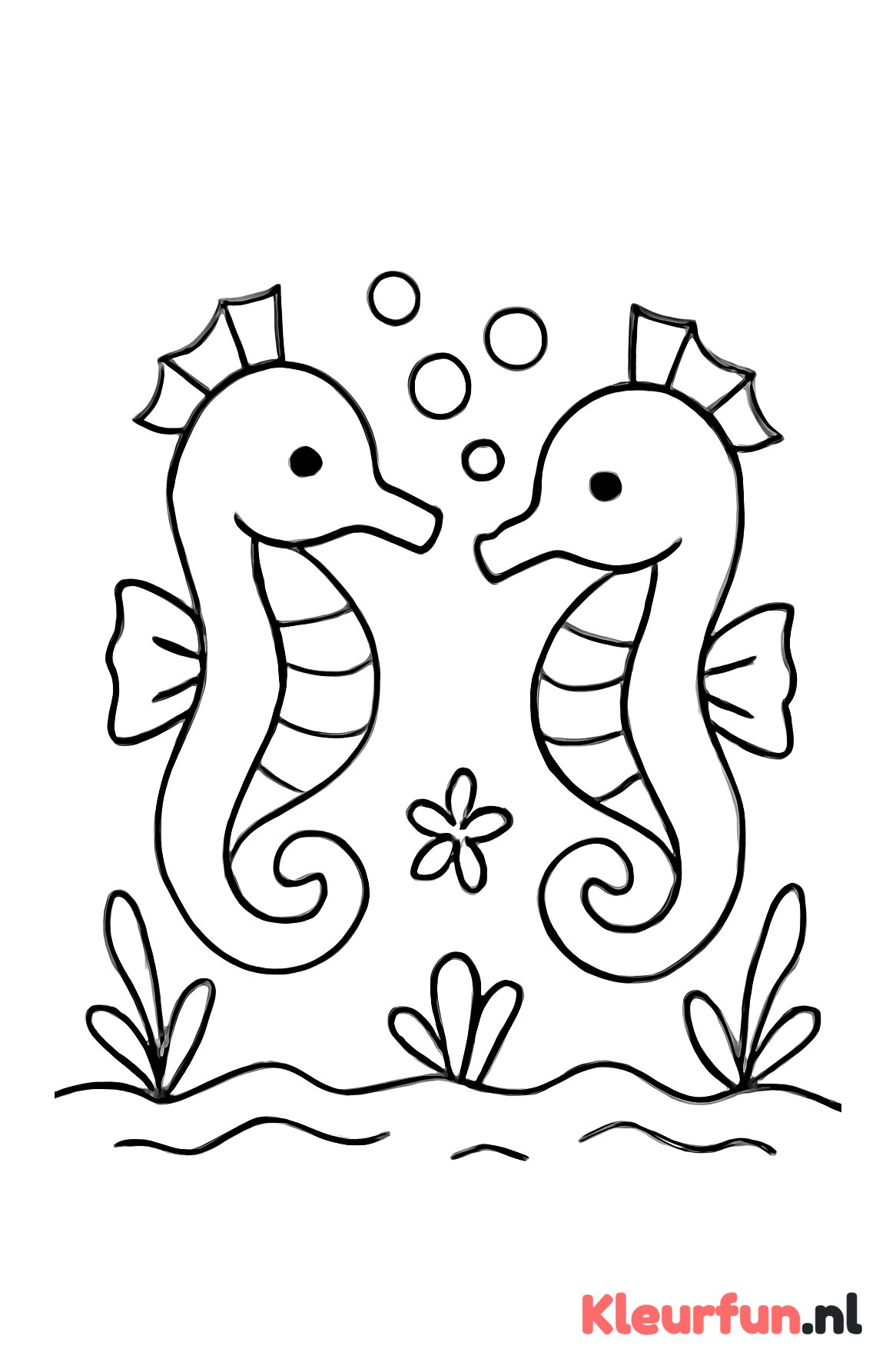 Twee grote zeepaardjes