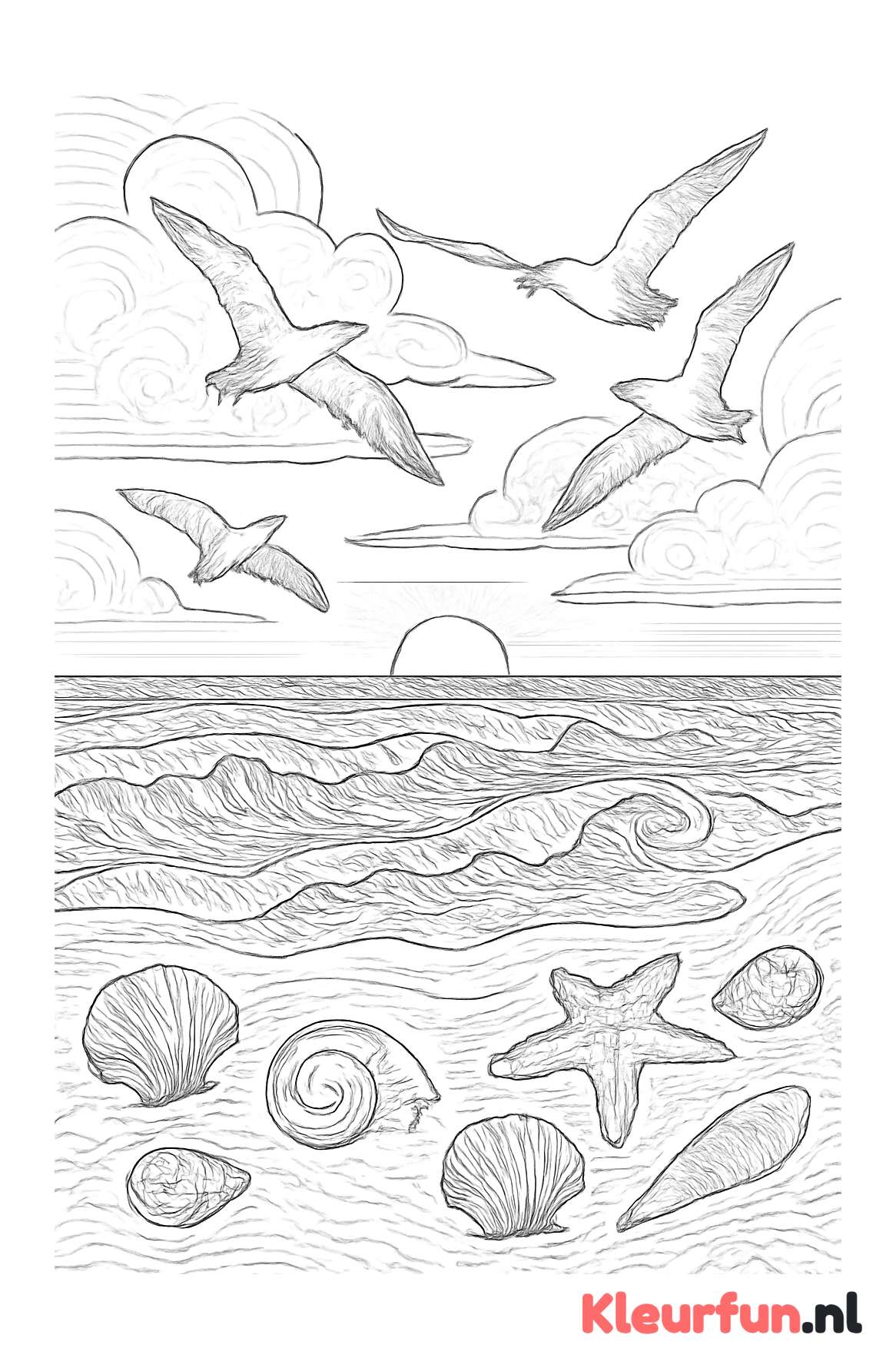 Uitgestrekt strandlandschap met zee en schelpen