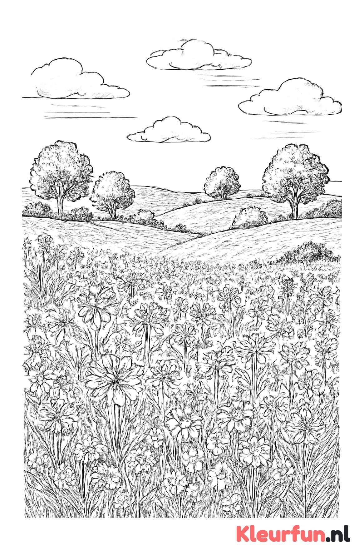 Wijd open veld met bloeiende bloemen en bomen