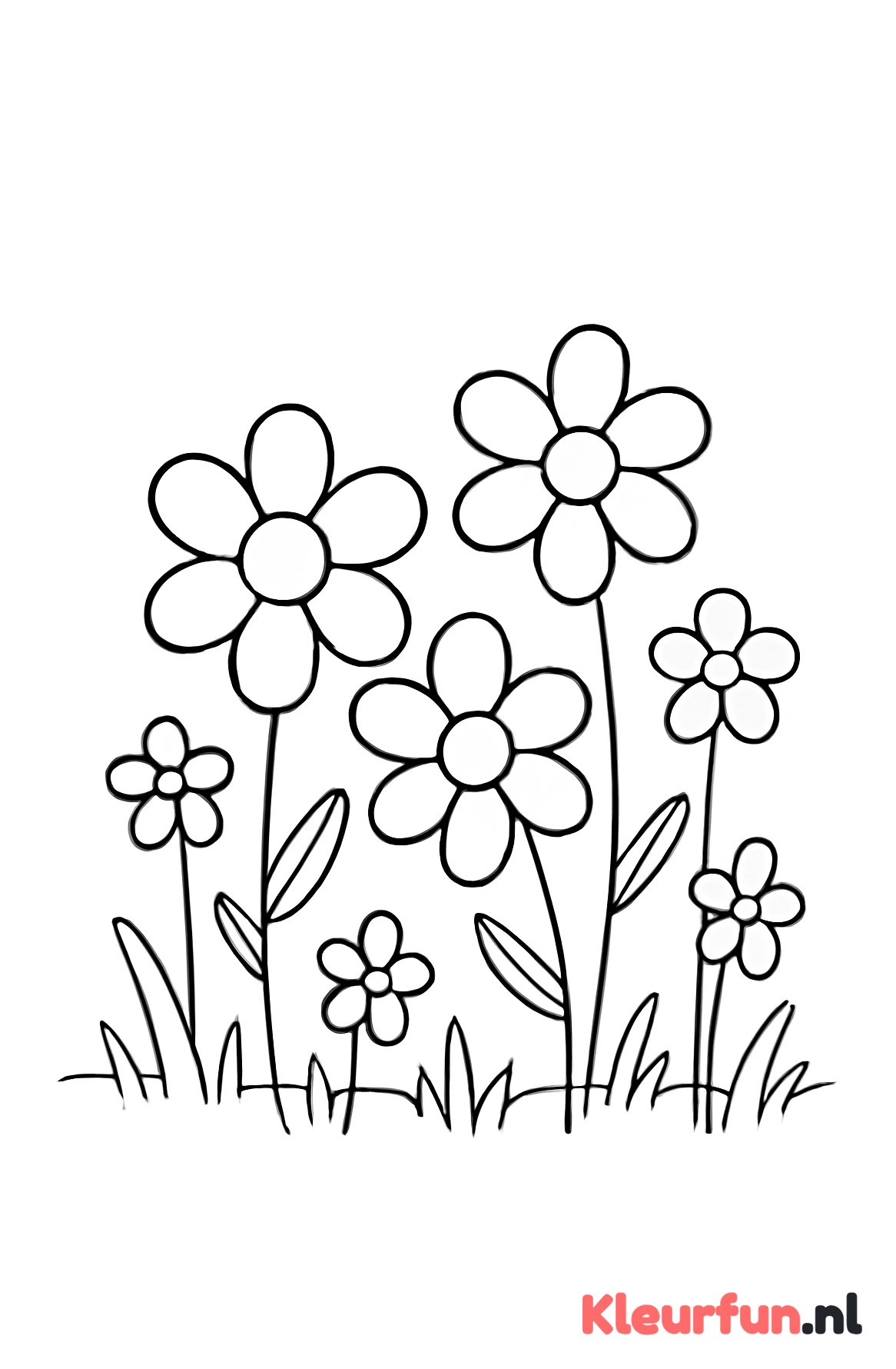 Veld met grote bloemen
