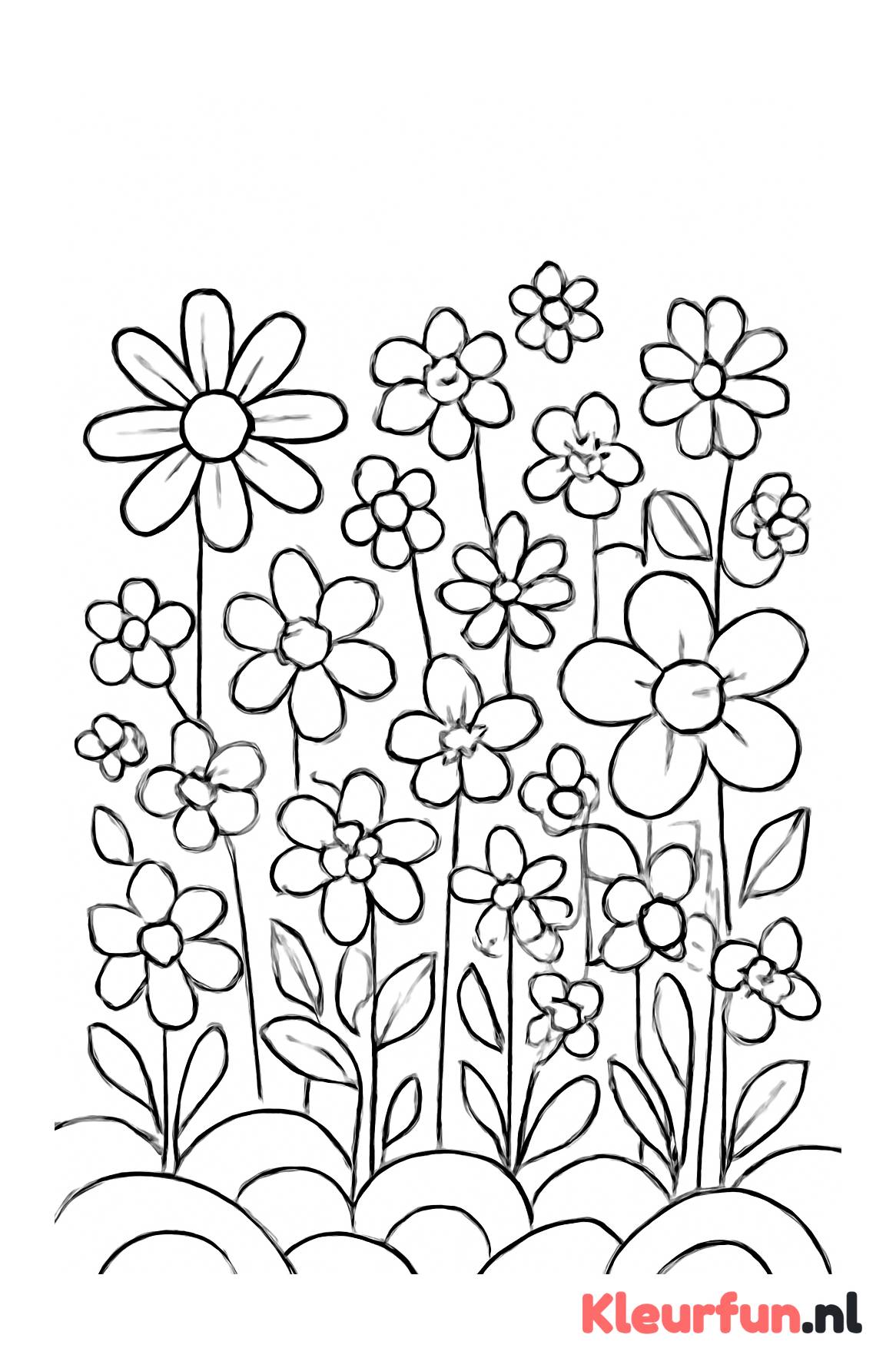 Veld met grote en kleine bloemen