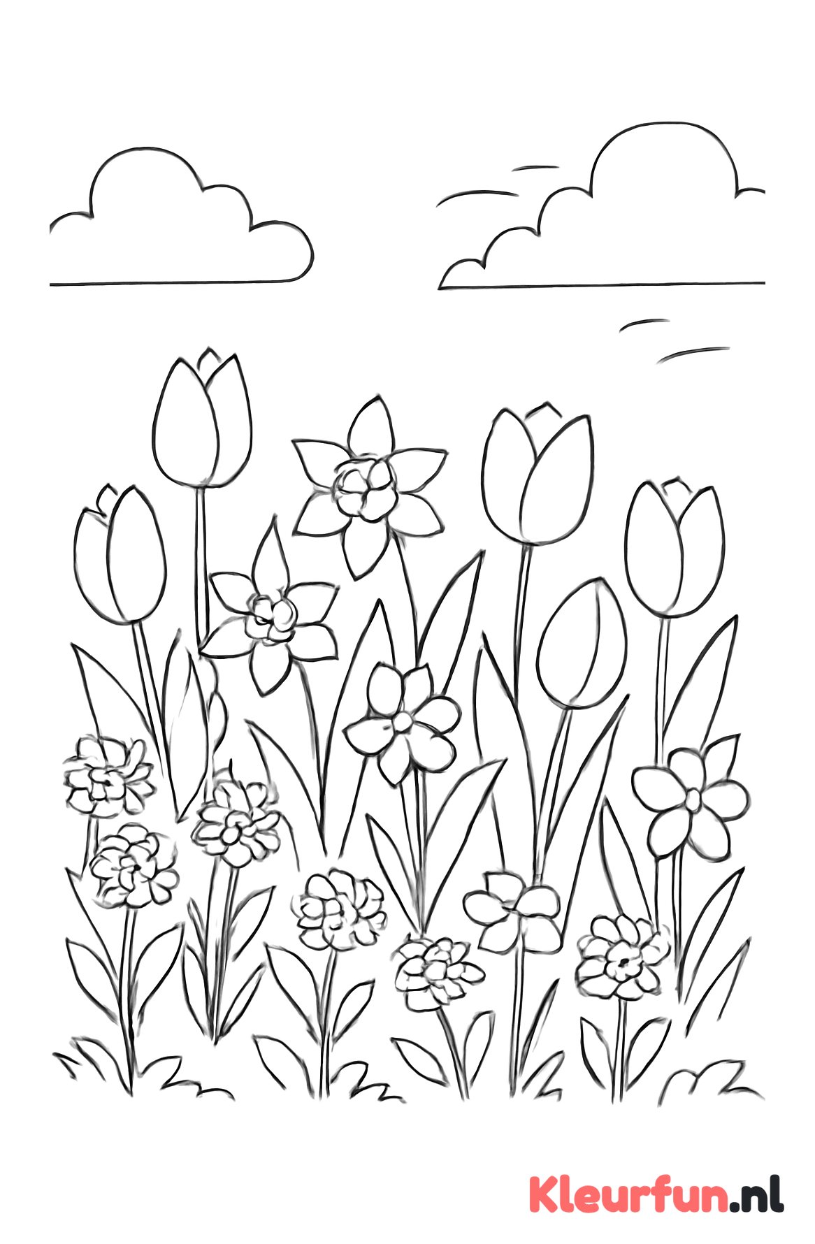 Veld vol lente bloemen