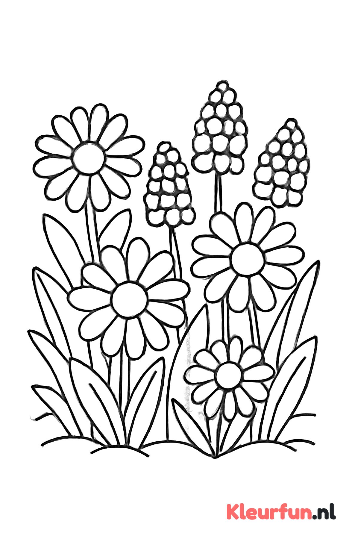 Veld vol lentebloemen