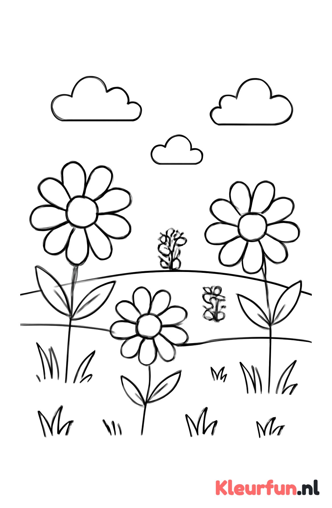 Veld met bloemen