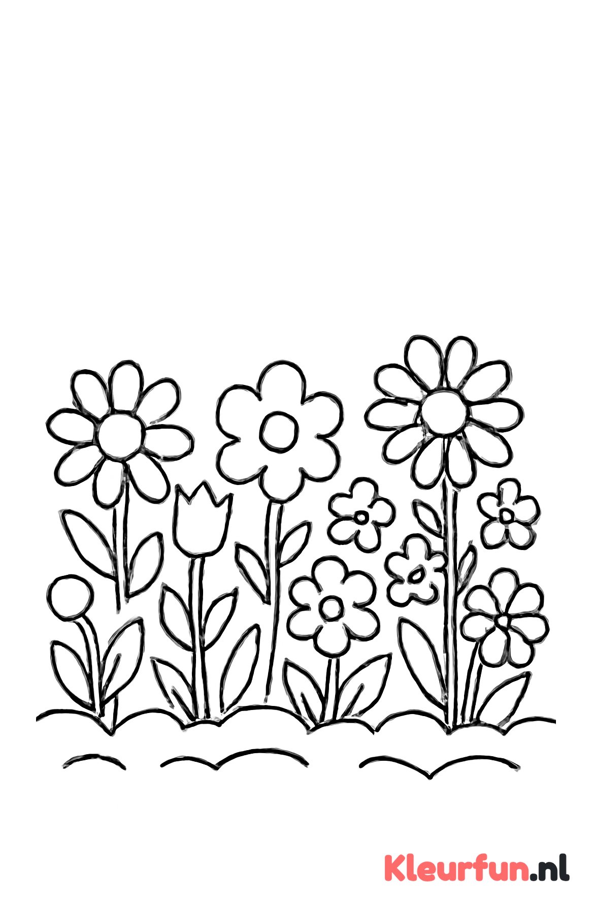 Veld met verschillende bloemen