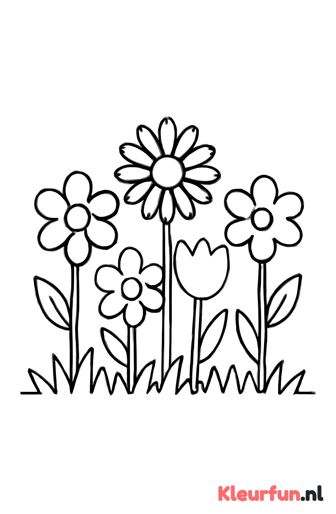 Veld met grote bloemen