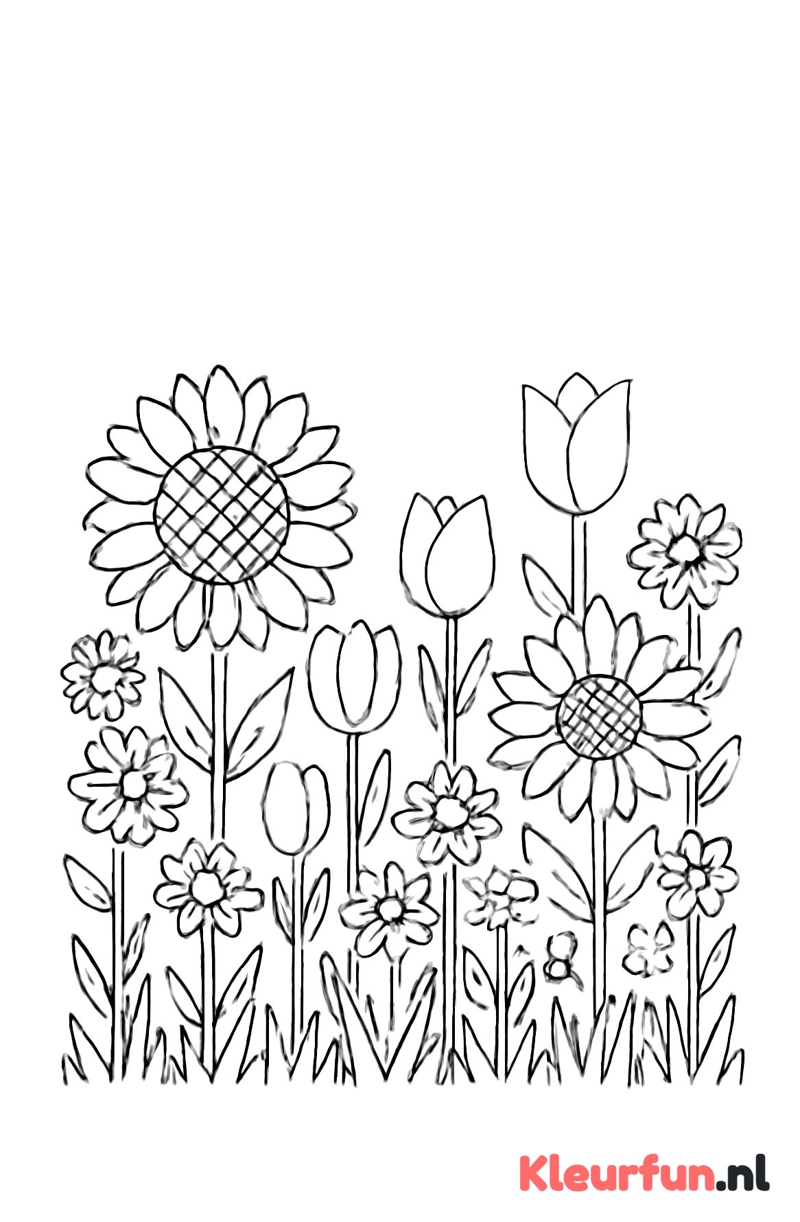 Veld met verschillende bloemen