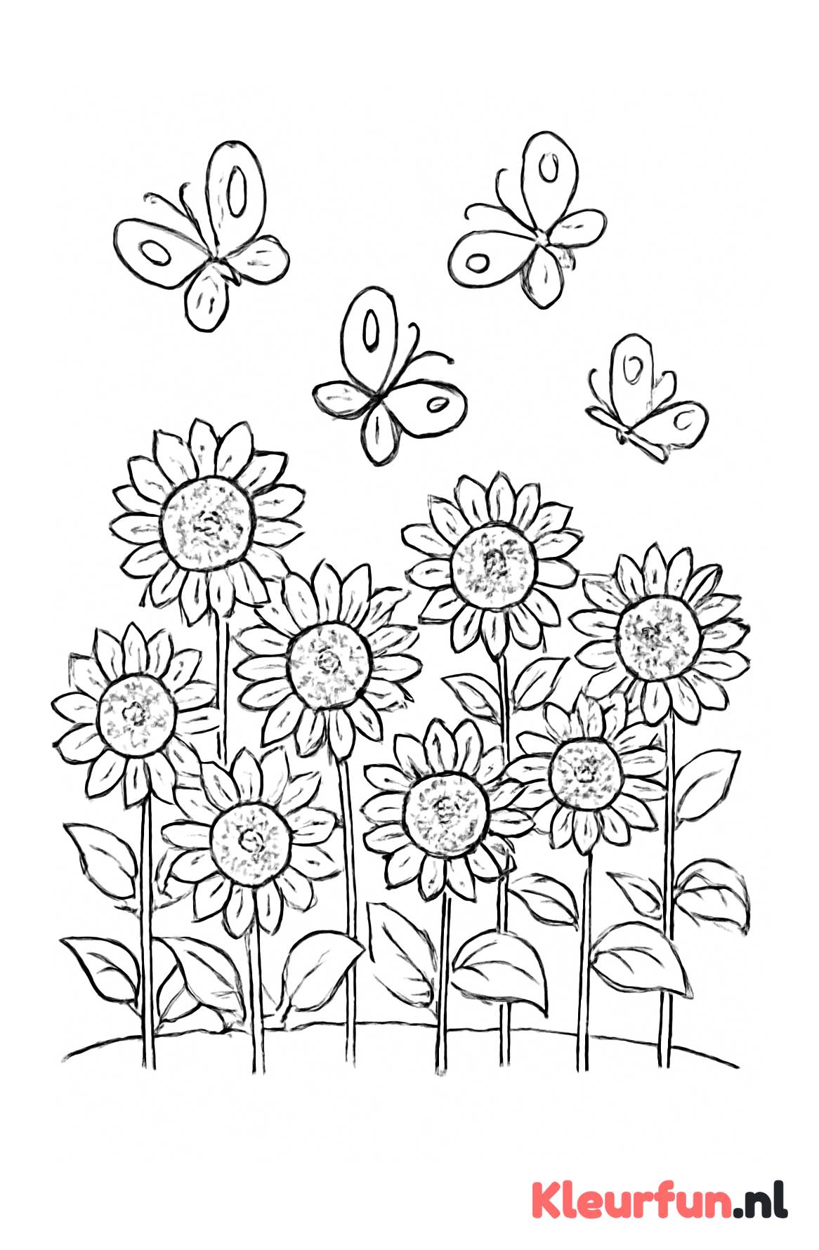 Veld met zonnebloemen en vlinders