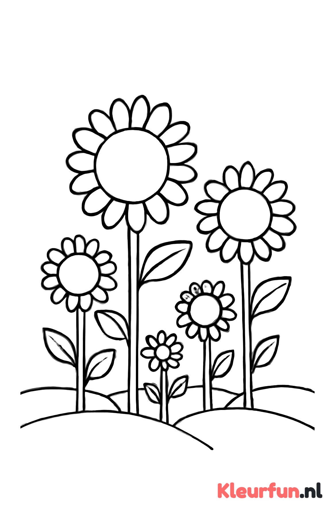 Zonnebloemen in het veld