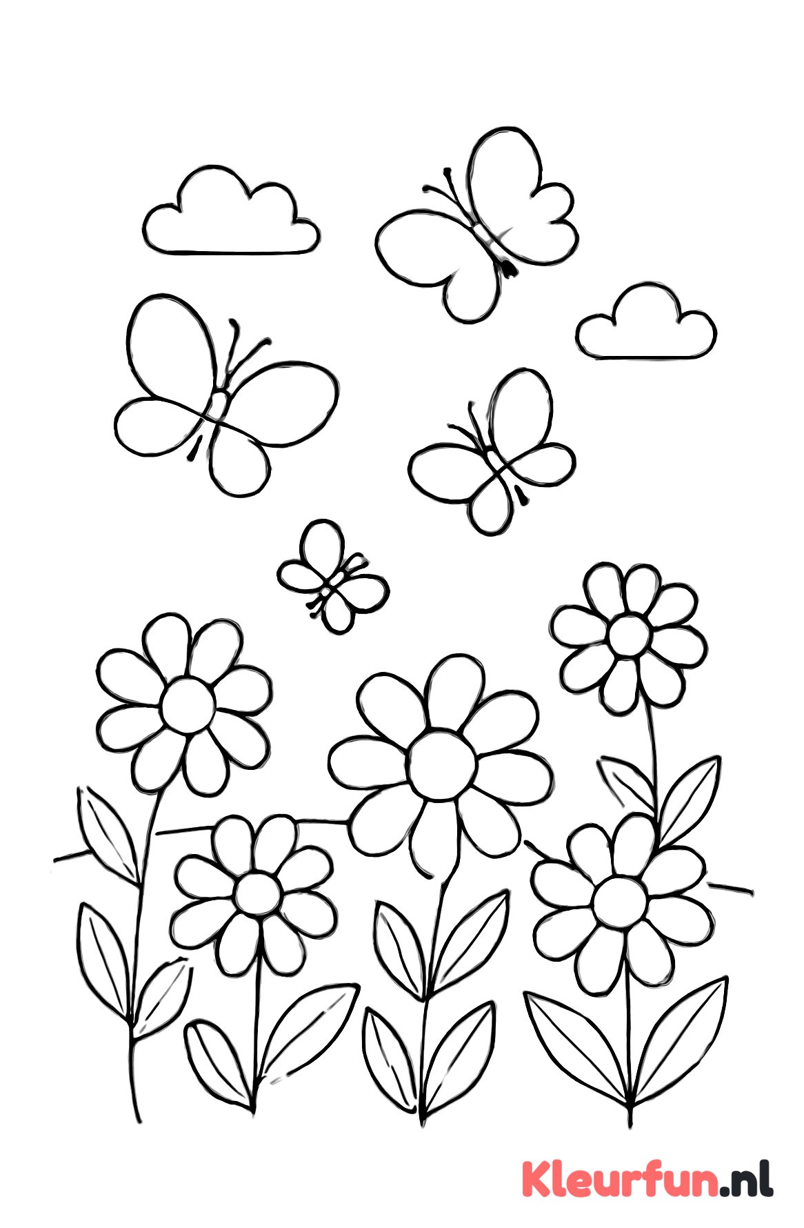 Lentebloemen en Vlinders in het Veld