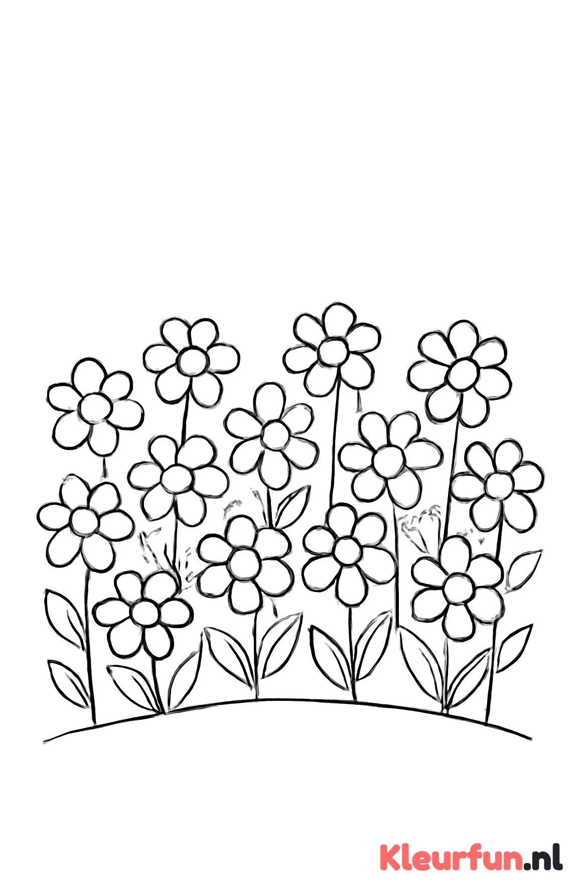 Veld vol grote bloemetjes