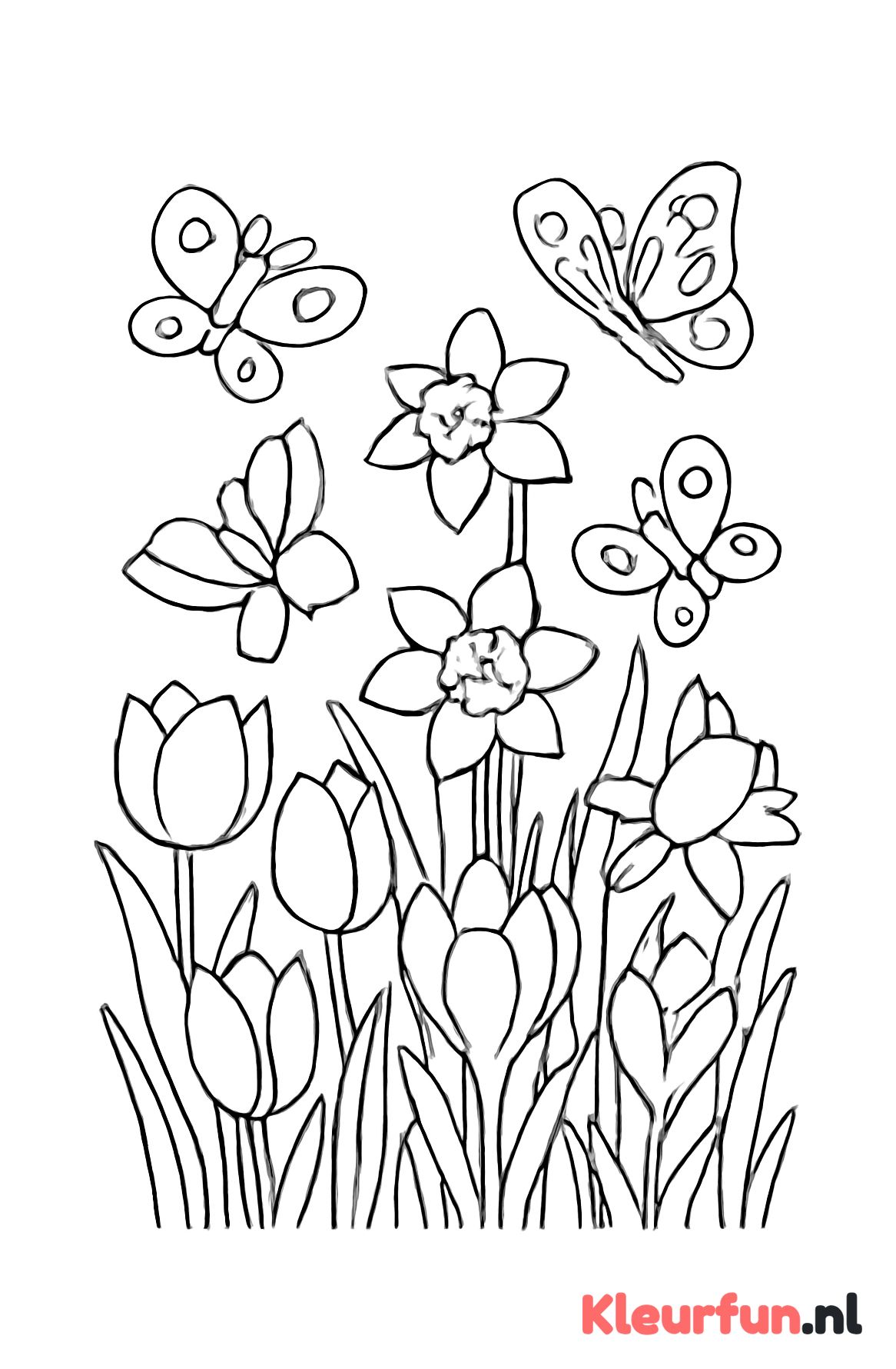 Veld met voorjaarsbloemen en vlinders