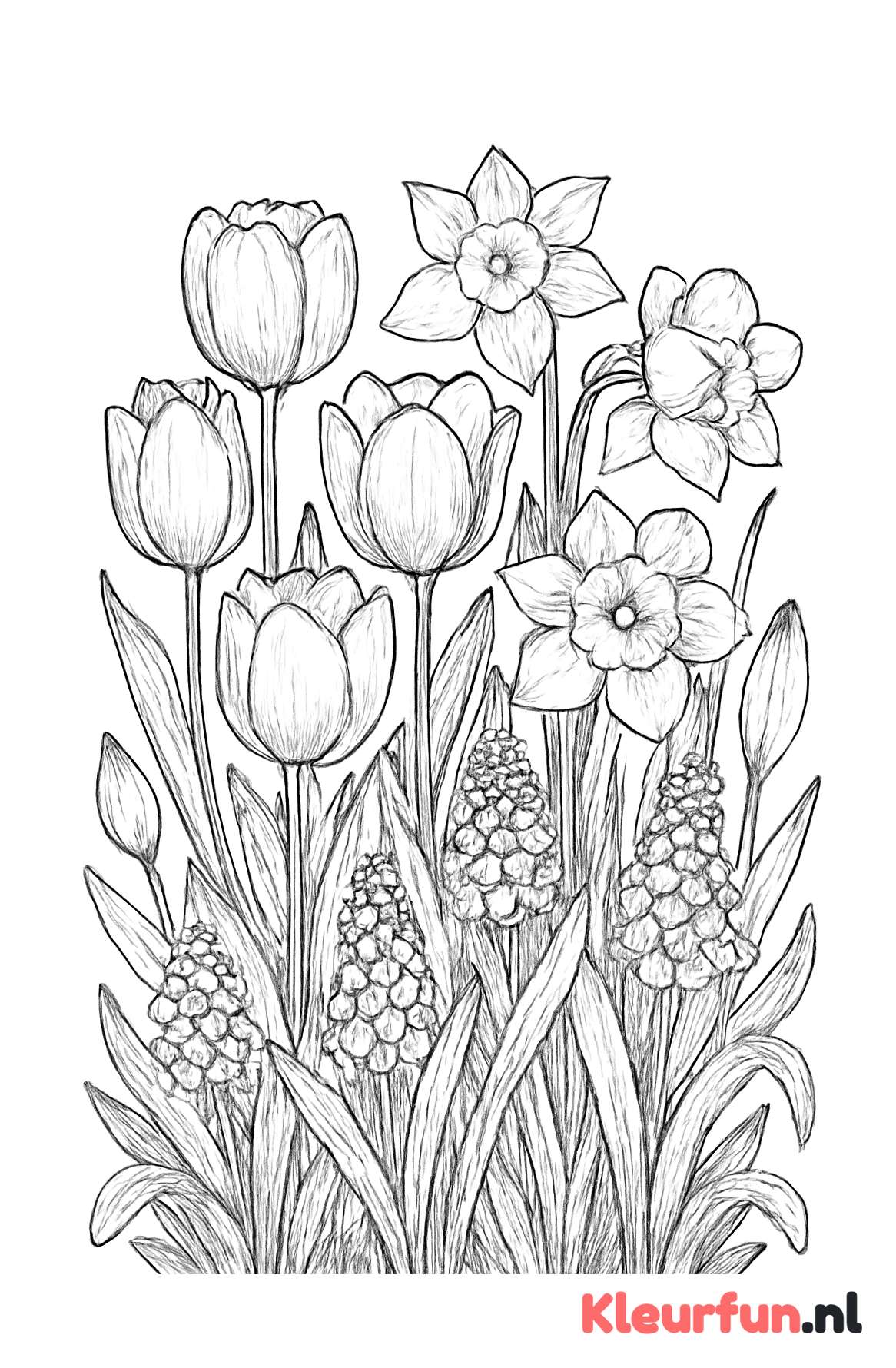 Veld met voorjaarsbloemen