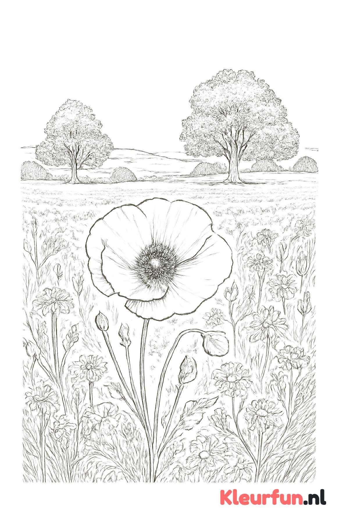 Open veld met wilde bloemen