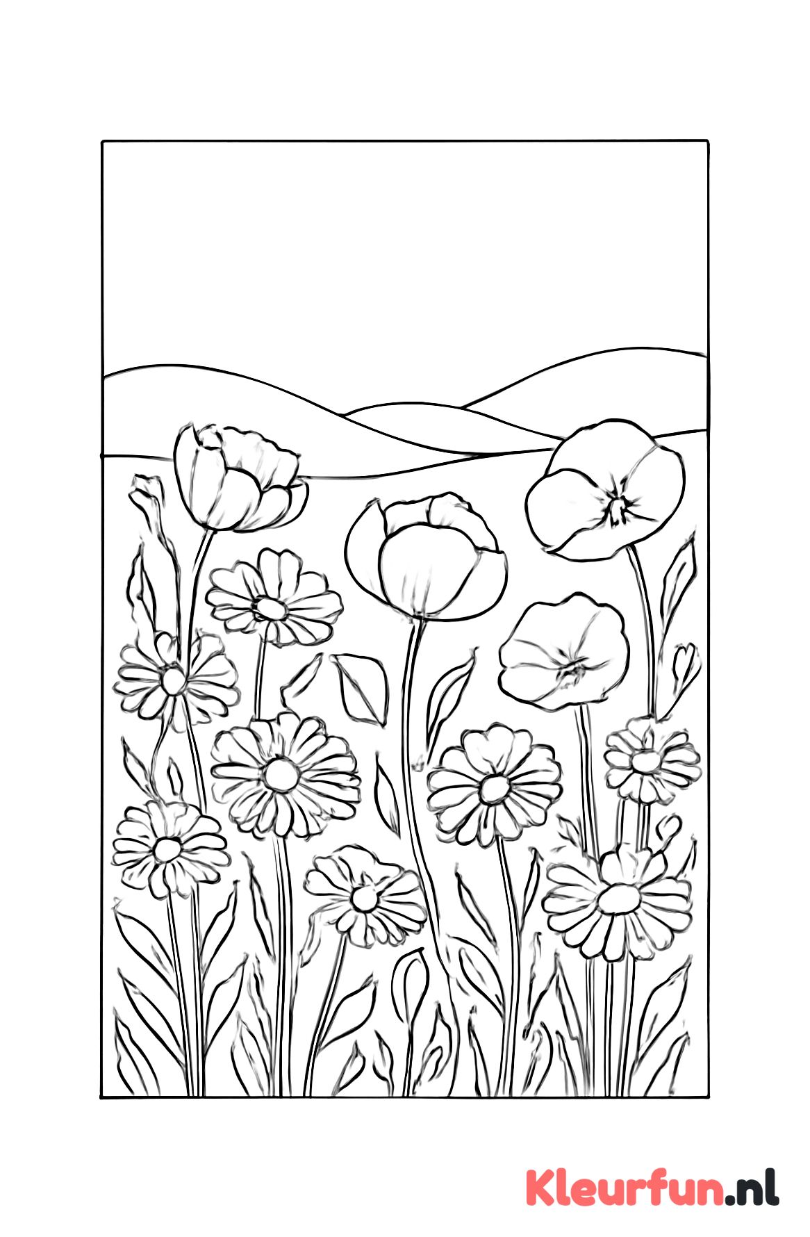 Veld met wilde lente bloemen