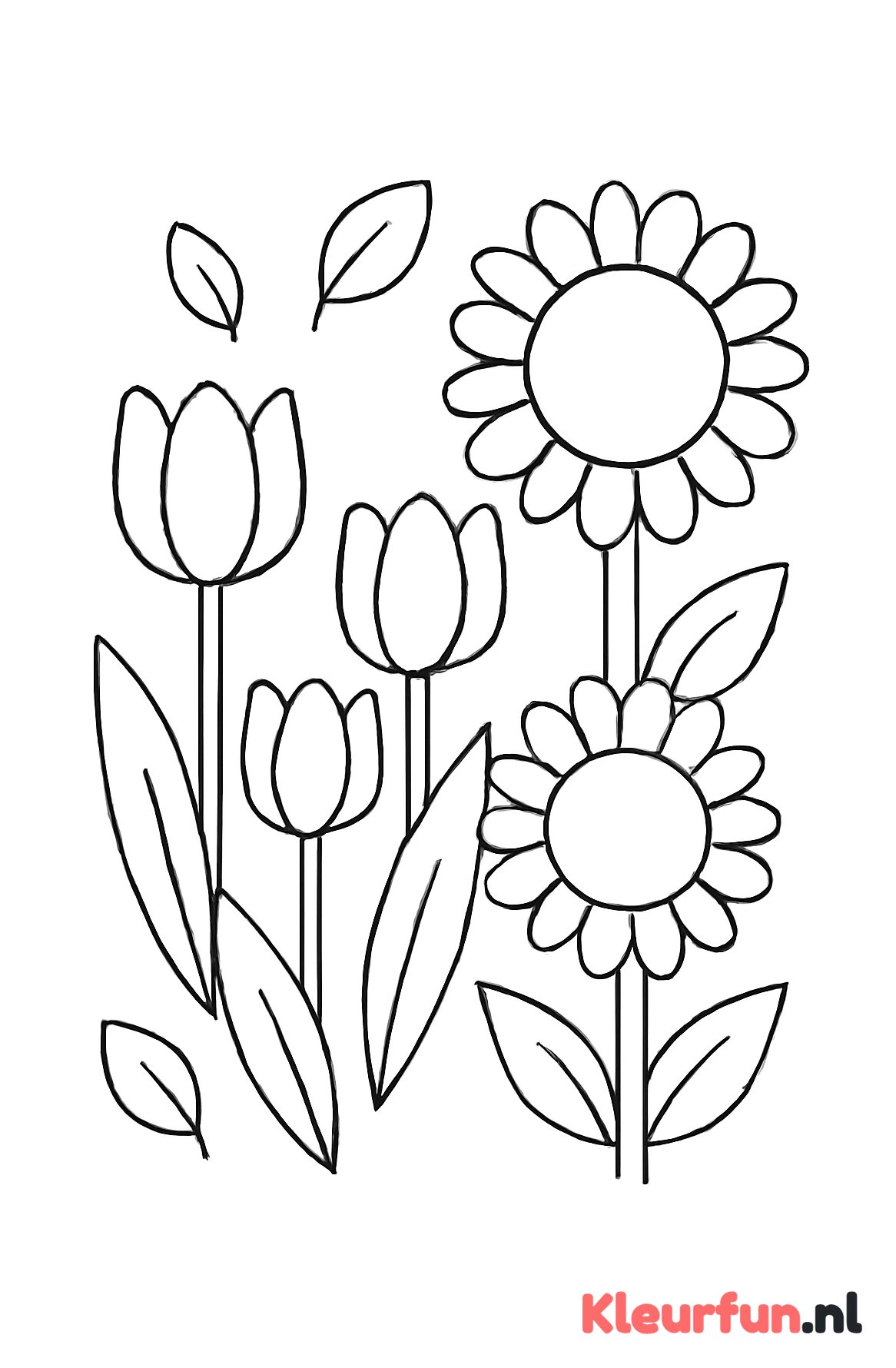 Verschillende plantjes