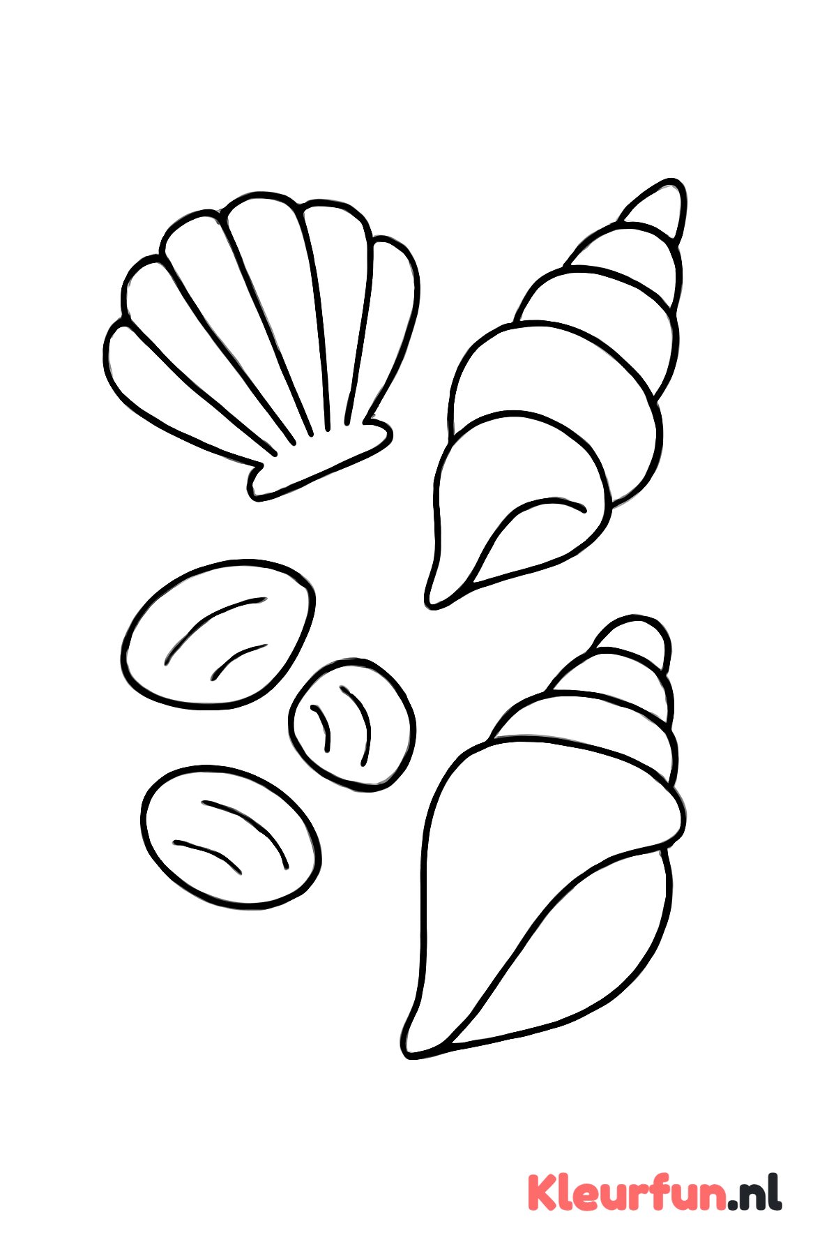 Verspreide schelpen