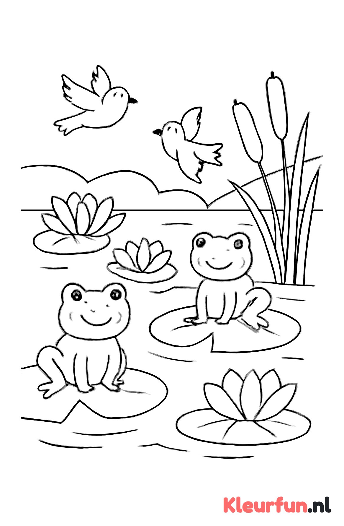 Vijver met waterlelies