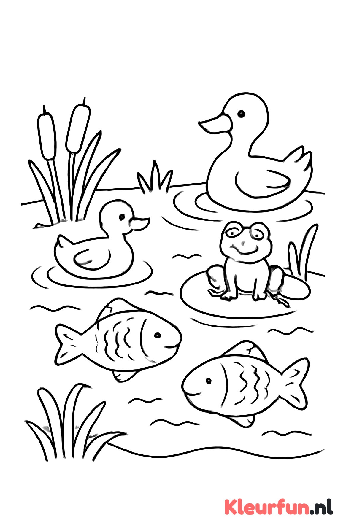 Vijver met waterdieren