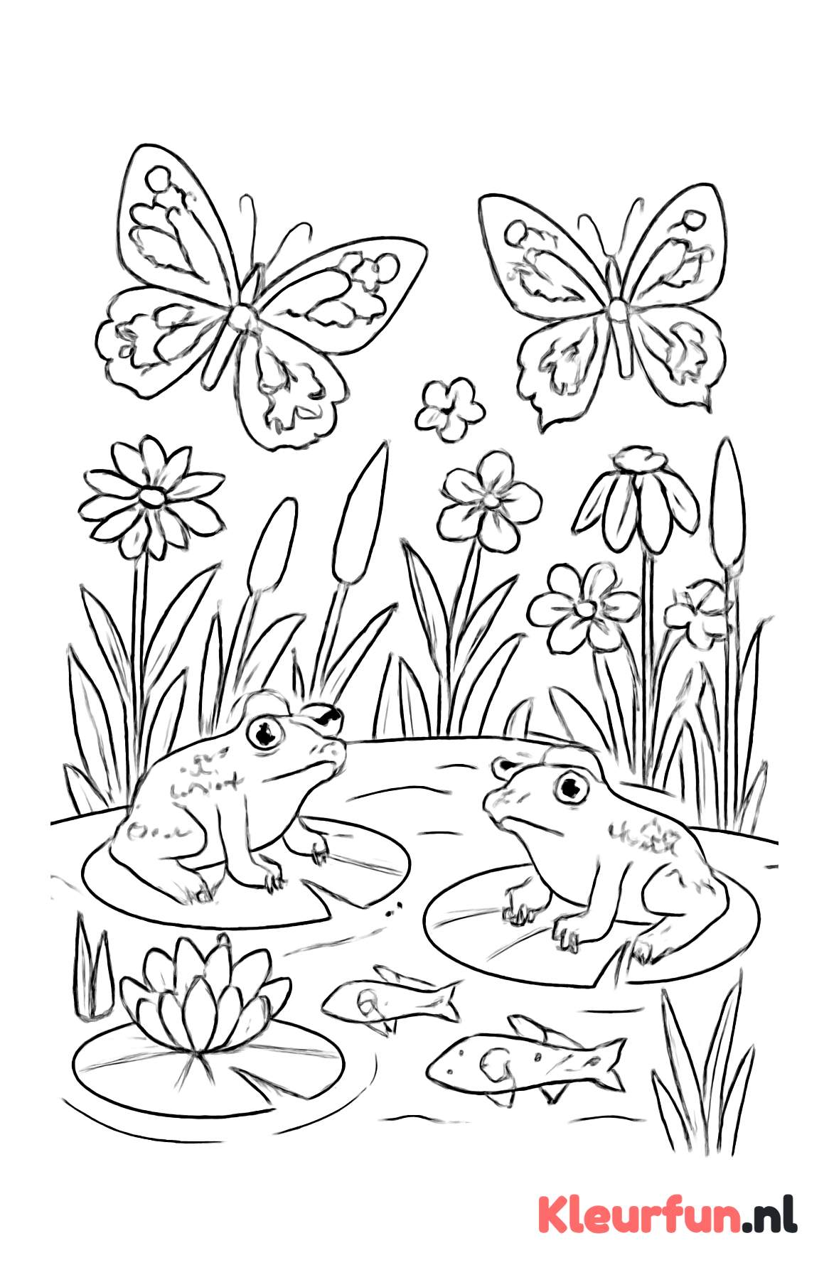 Vijver met waterplanten, kikkers en vissen