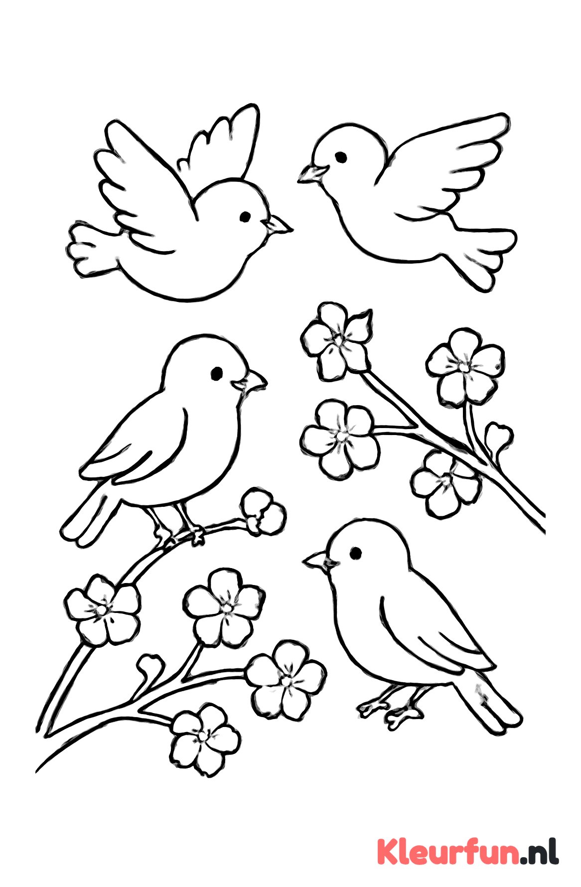 Vogels en bloemen in de lente