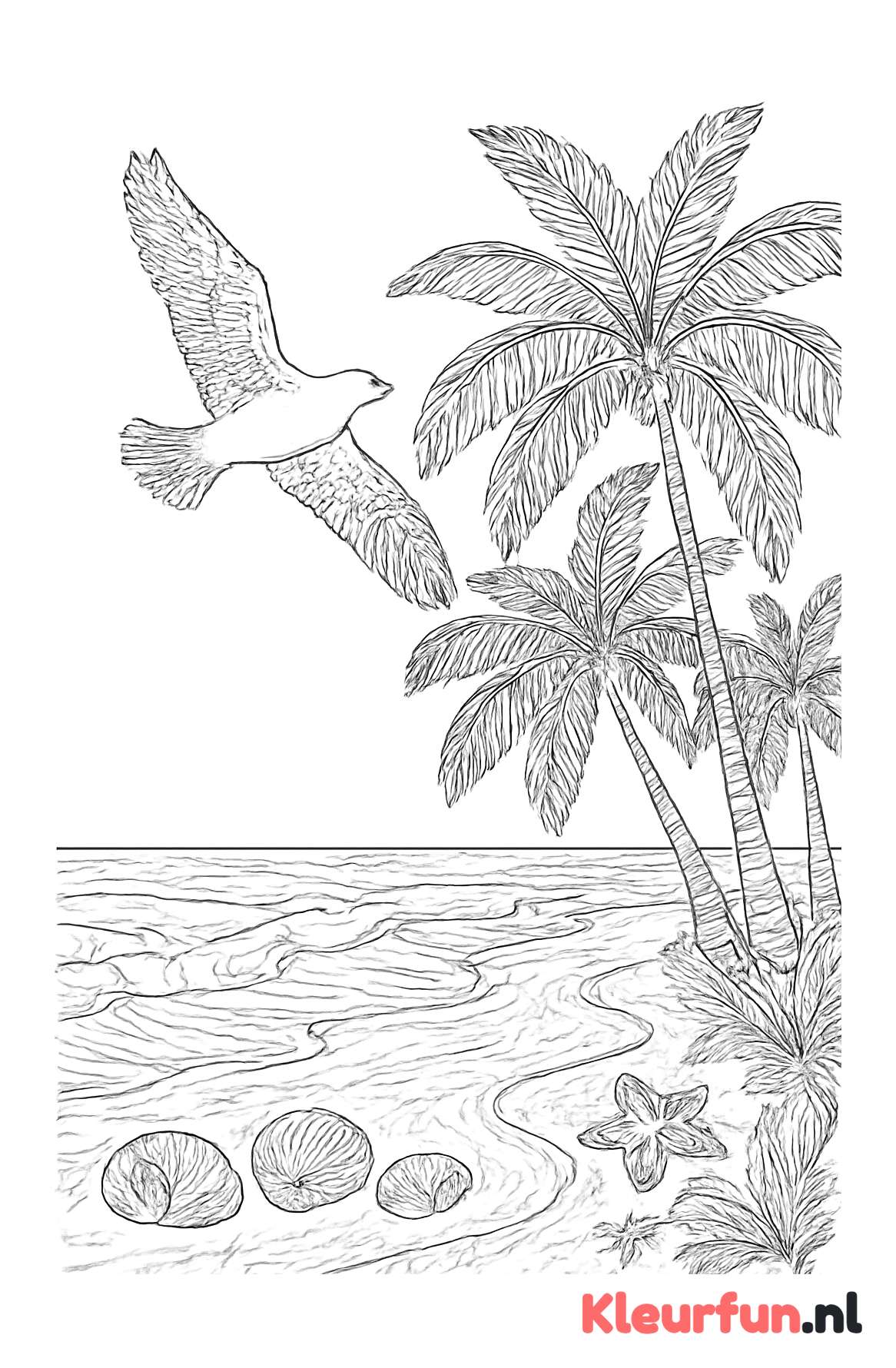 Vogelvlucht view palmboomstrand