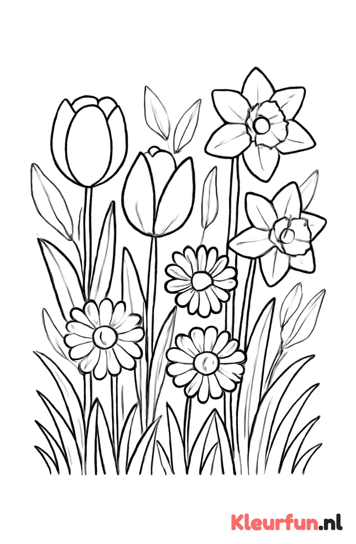 Voorjaarsbloemen in een veld