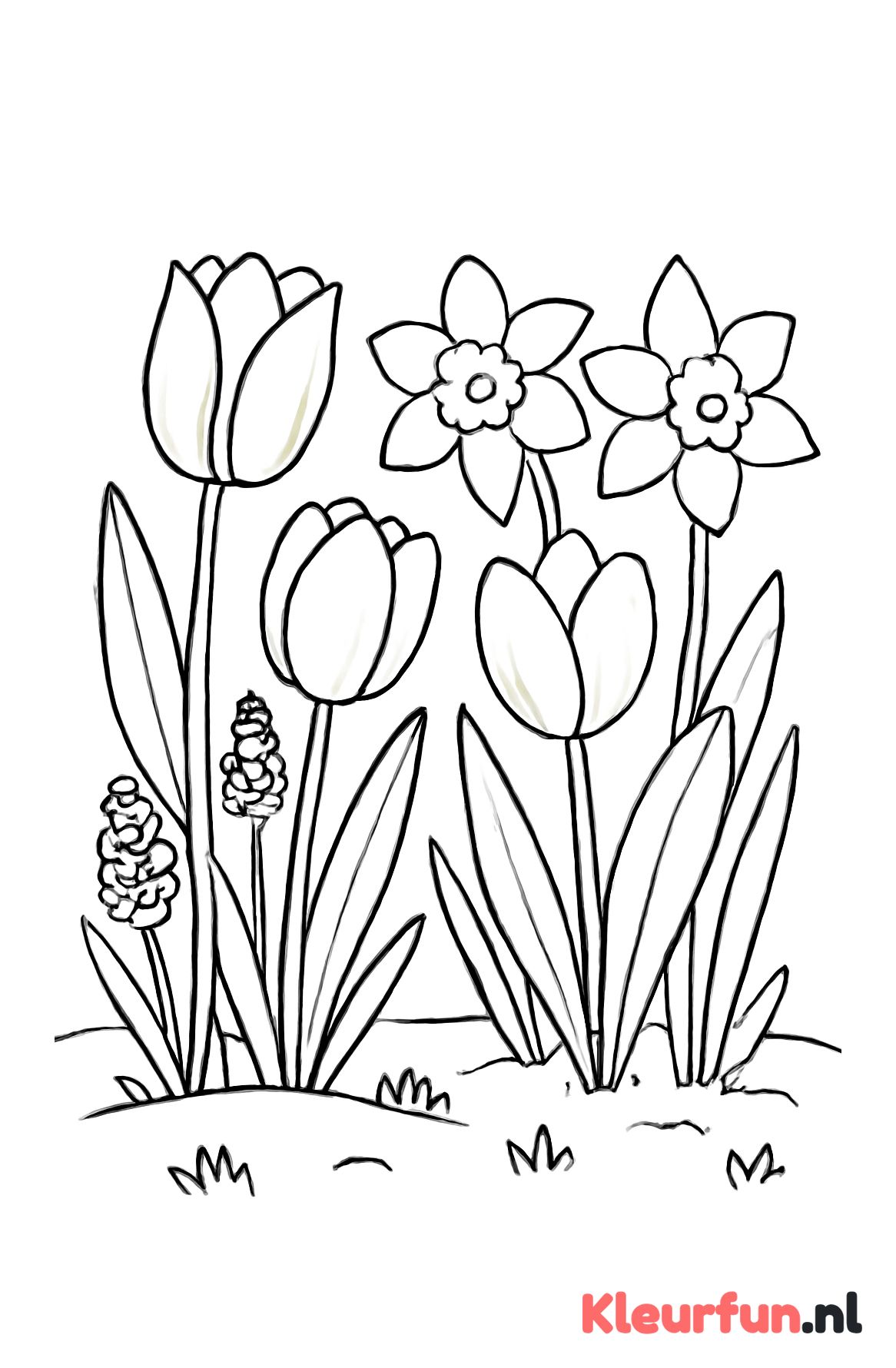 Voorjaarsbloemen in een veld