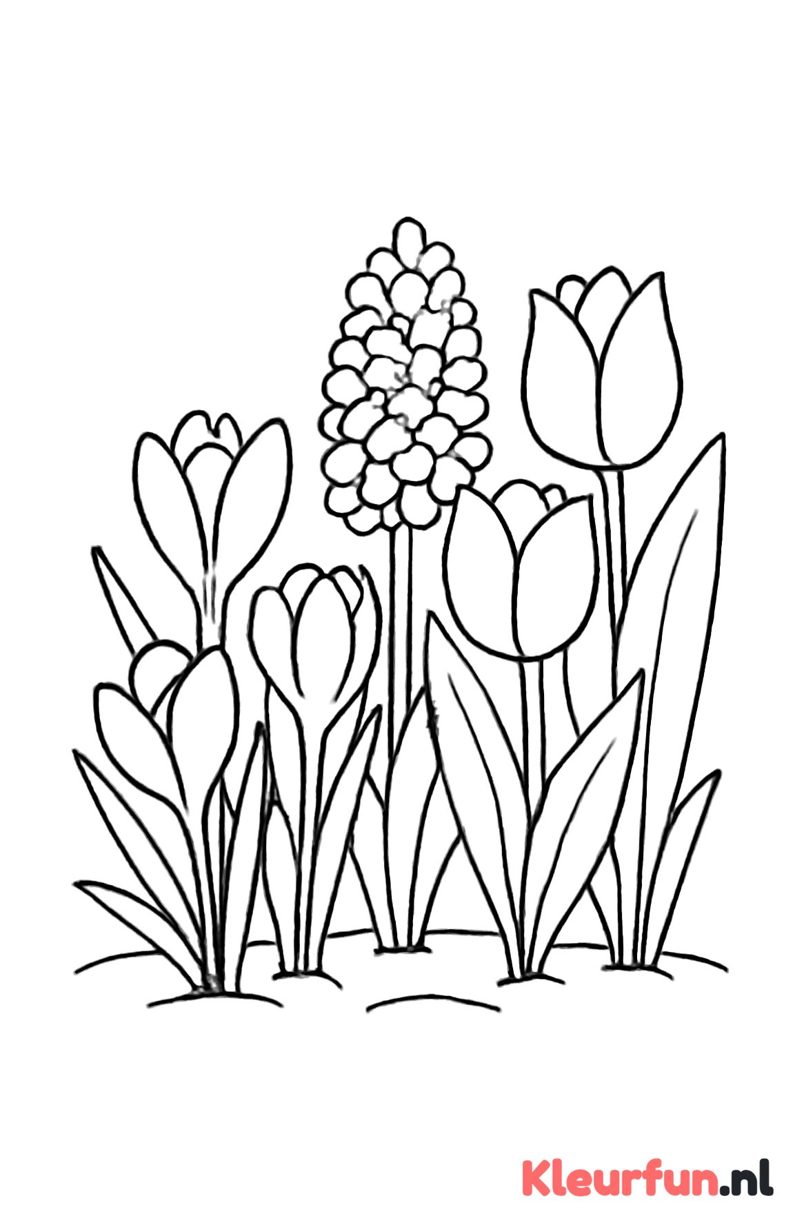 Bloementuin met voorjaarsbloemen