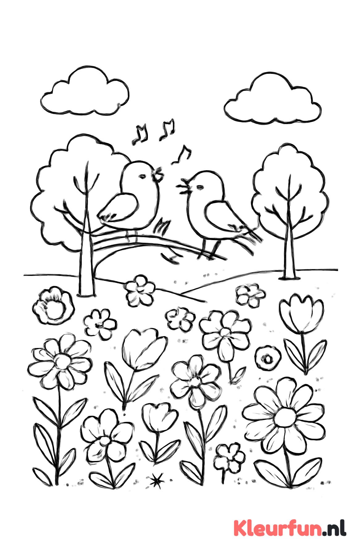 Voorjaarsveld met bloemen en vogels