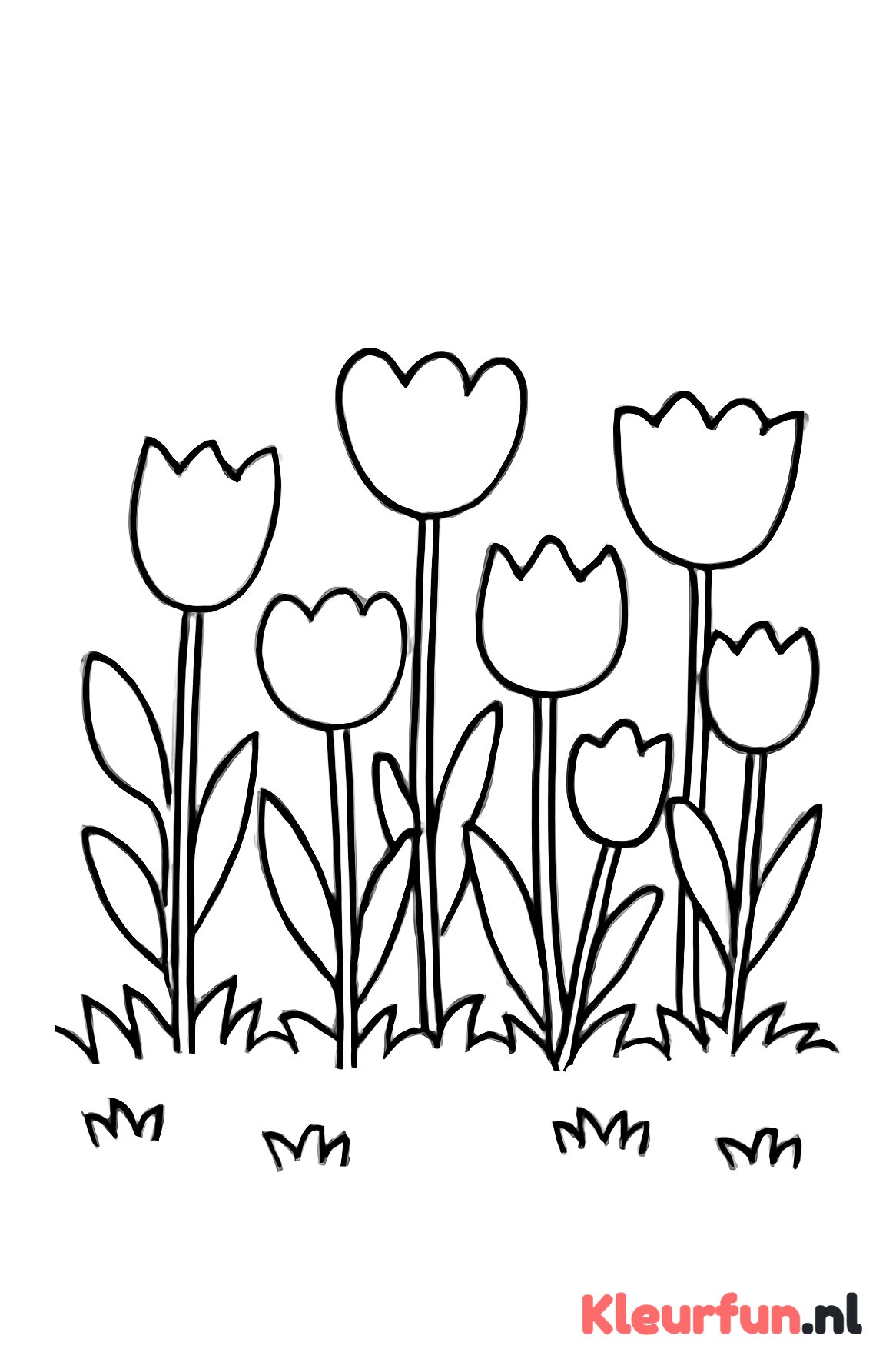 Vrolijk veld met tulpen